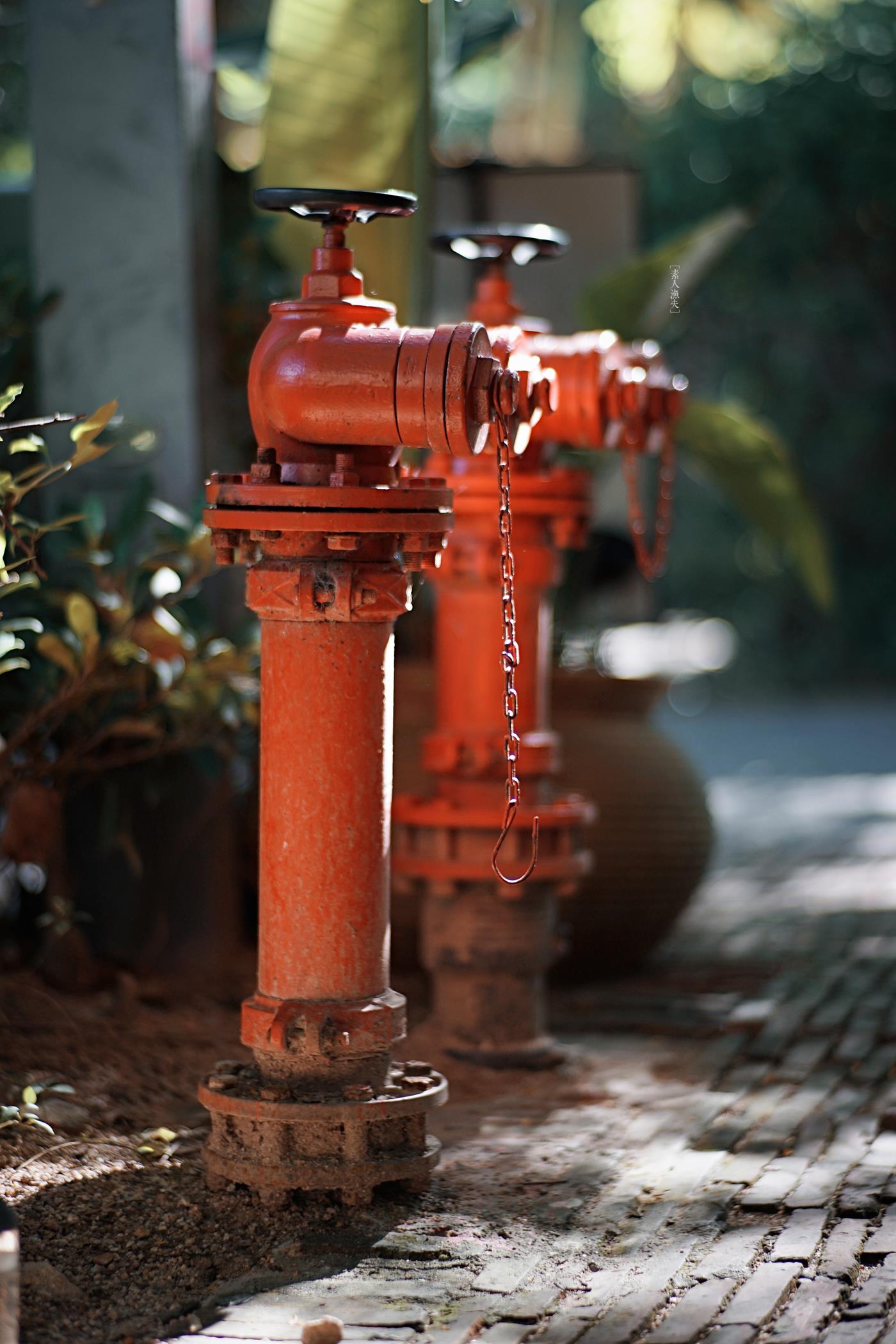 图片[72]-[LOFTER素人渔夫]写真作品 2016年07月 唯美图集 （2）[89P] – 速更版-美库