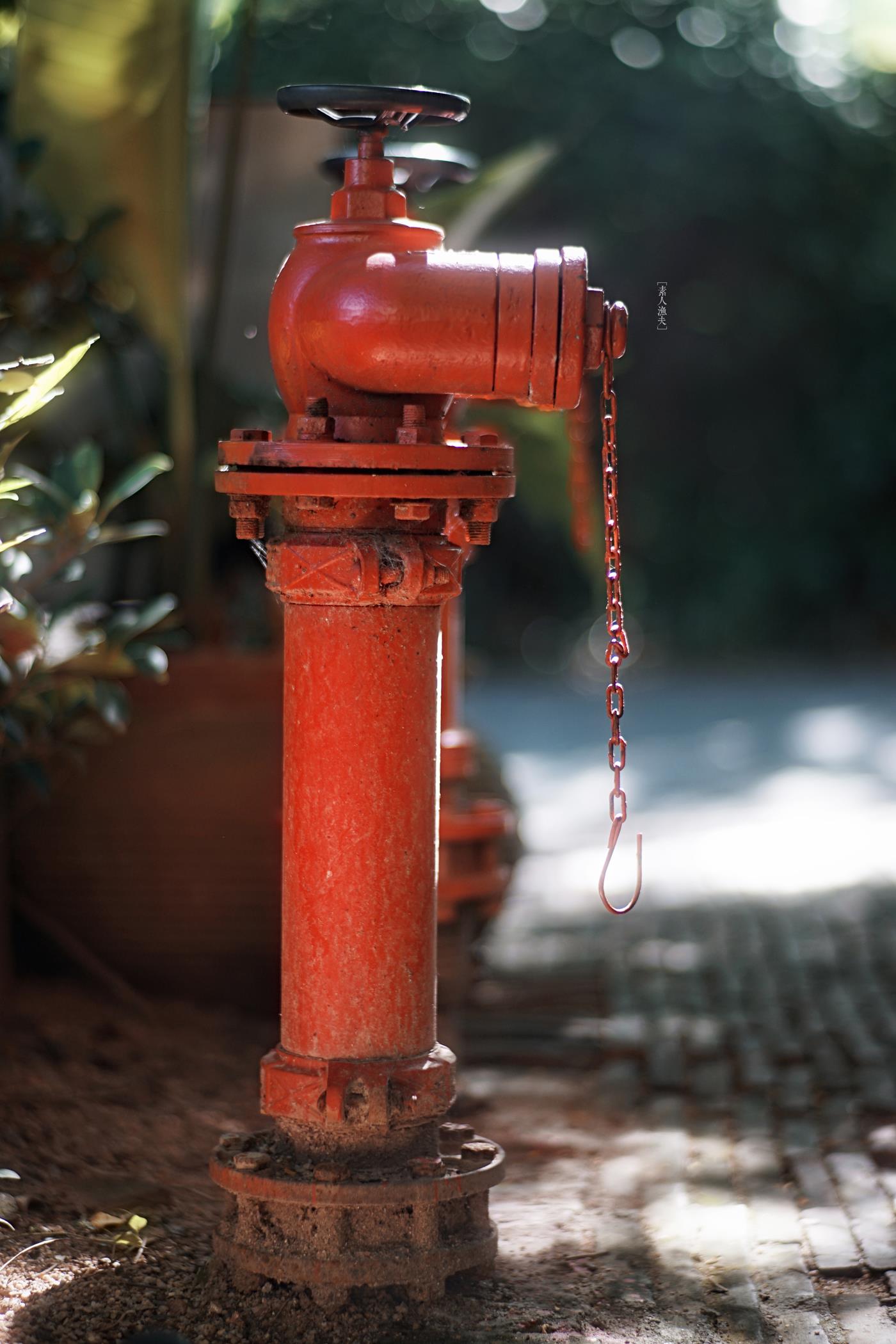 图片[73]-[LOFTER素人渔夫]写真作品 2016年07月 唯美图集 （2）[89P] – 速更版-美库