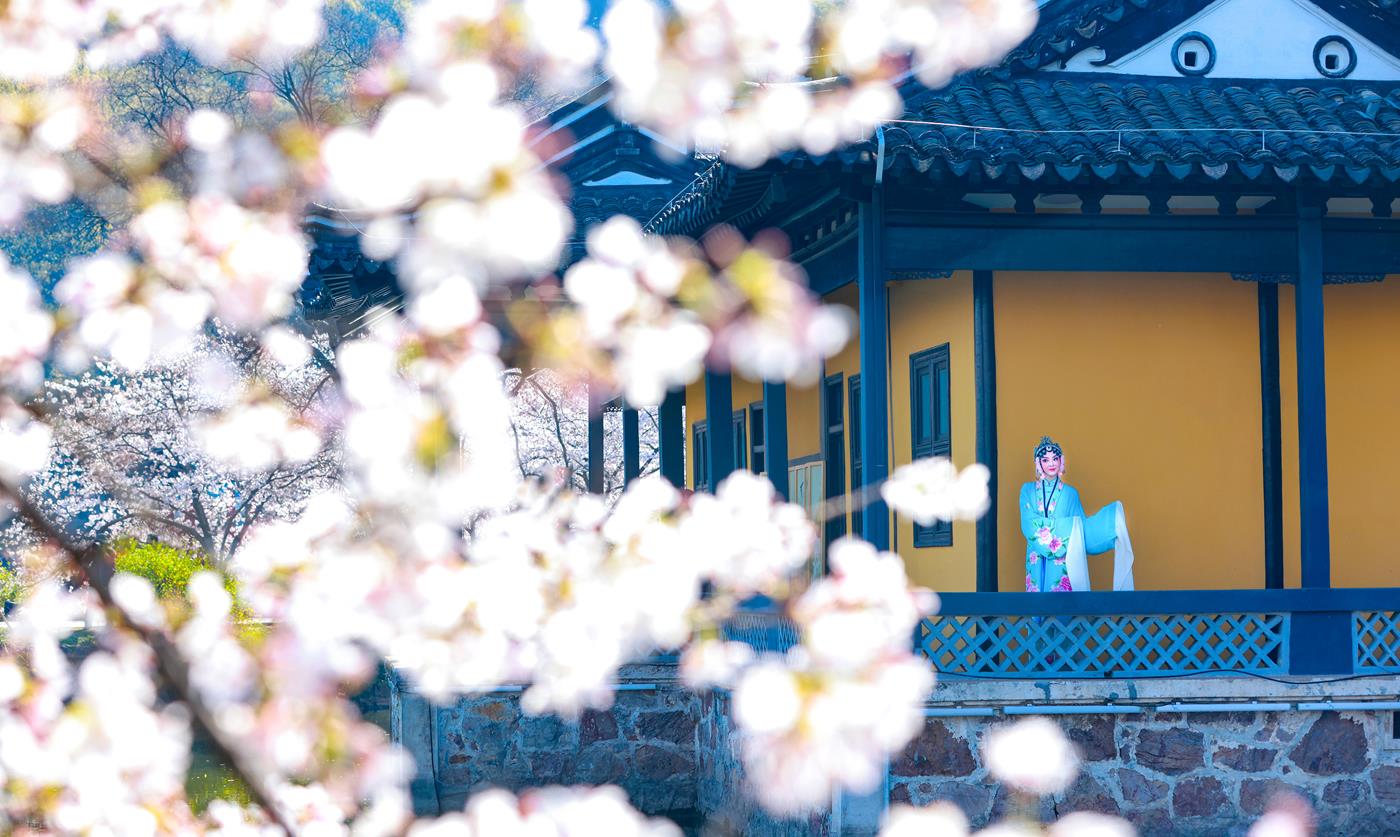 图片[24]-[YITUYU艺图语] 2022.01.04 樱花有戏 丹琼 [24P] – 速更版-美库