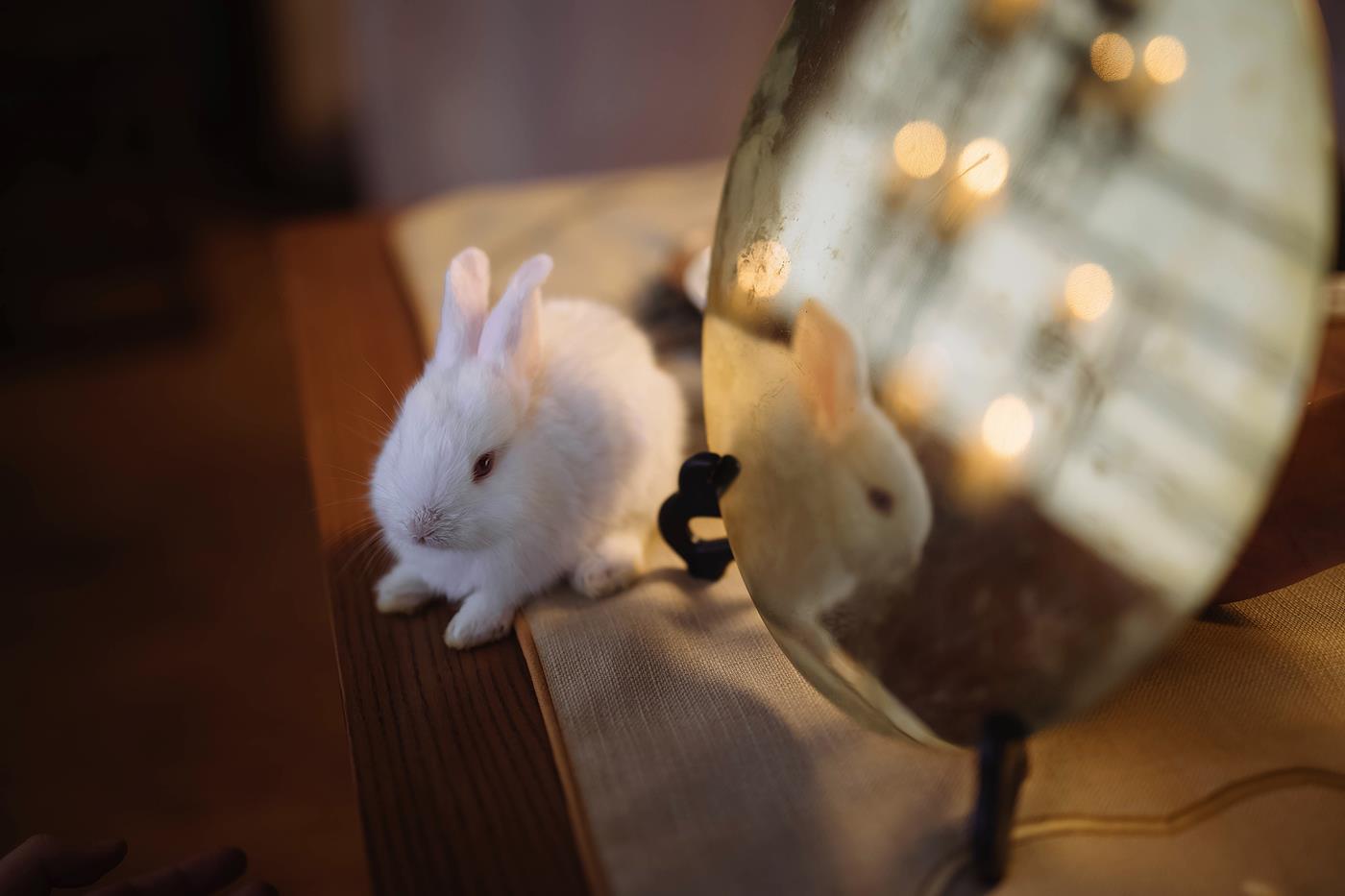 图片[10]-[YITUYU艺图语] 2022.01.13 云影乘月 仓仓 [24P] – 速更版-美库