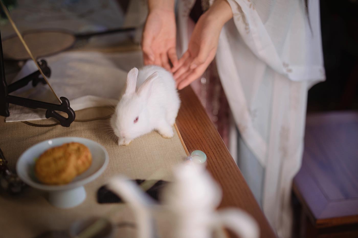 图片[13]-[YITUYU艺图语] 2022.01.13 云影乘月 仓仓 [24P] – 速更版-美库