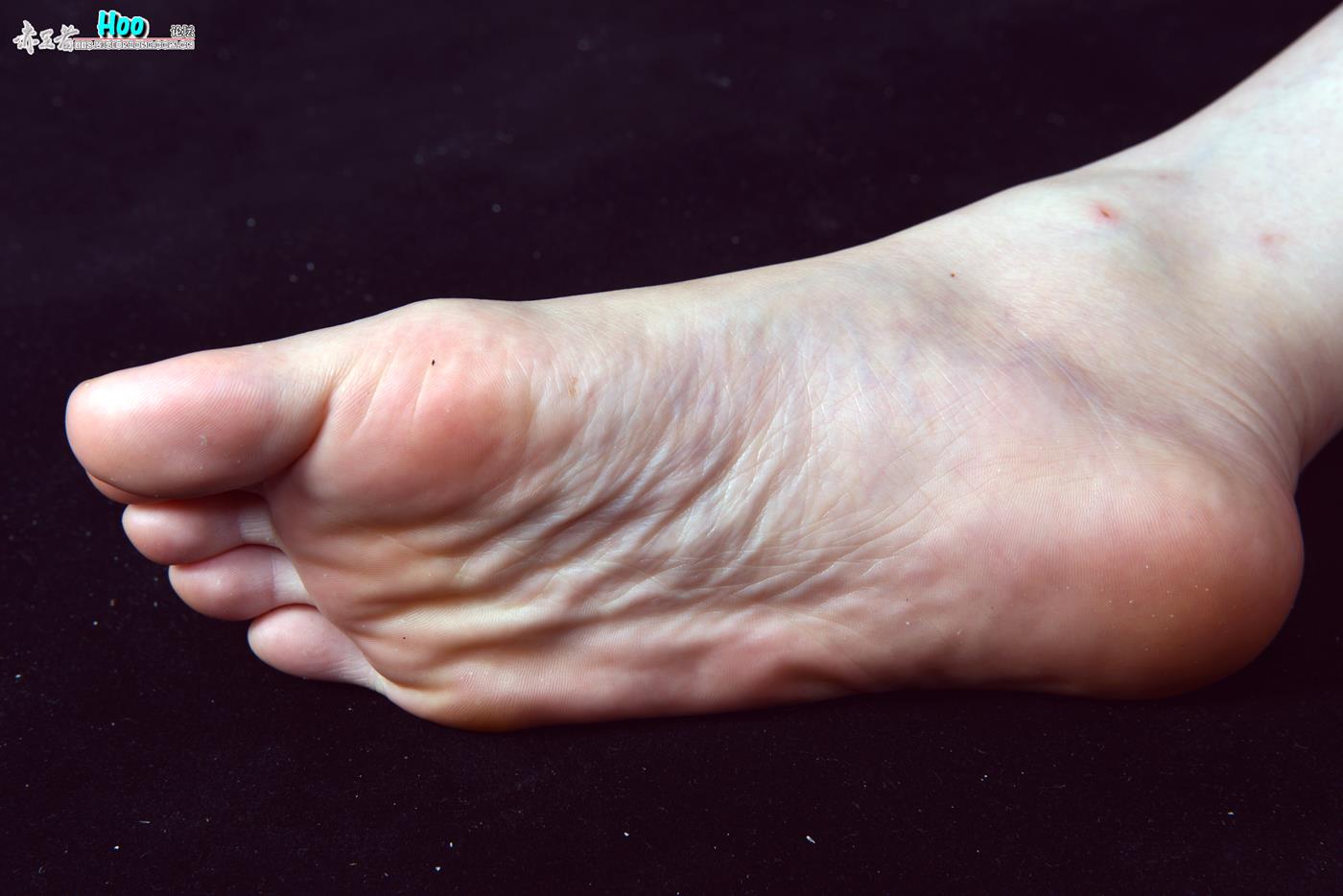 图片[95]-[赤足者]VOL.008 高清图集[109P] – 速更版-美库