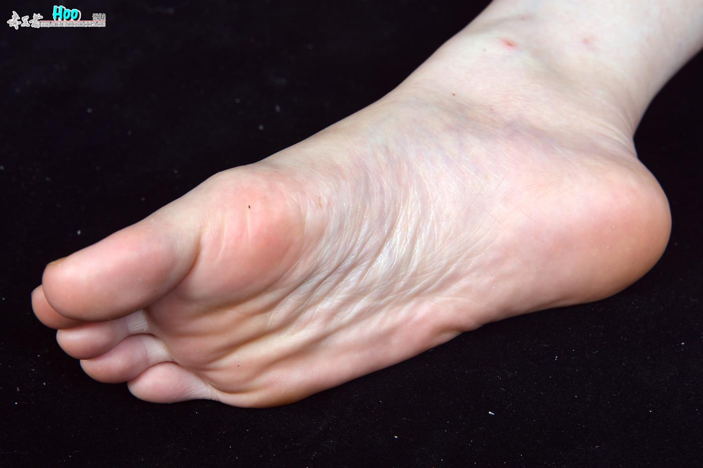 图片[96]-[赤足者]VOL.008 高清图集[109P] – 速更版-美库