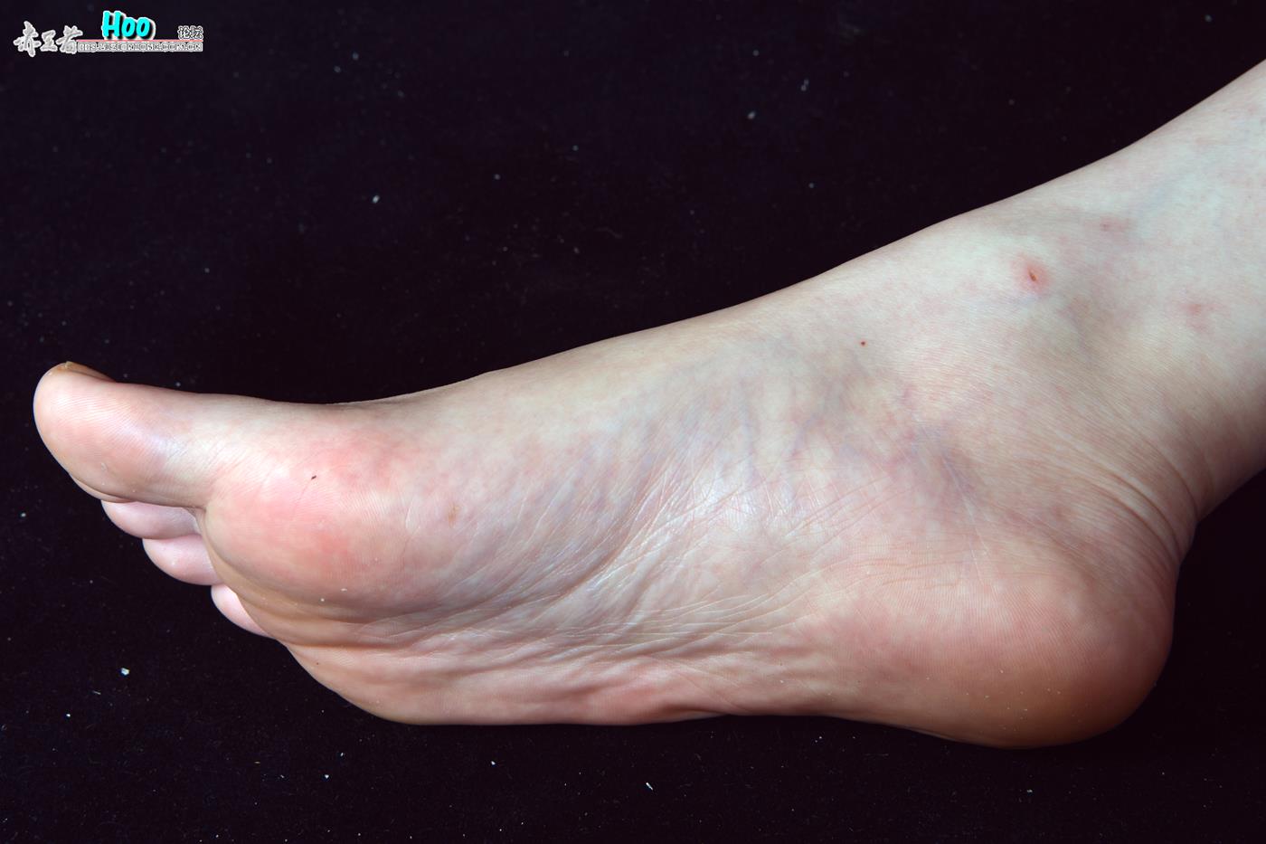 图片[98]-[赤足者]VOL.008 高清图集[109P] – 速更版-美库