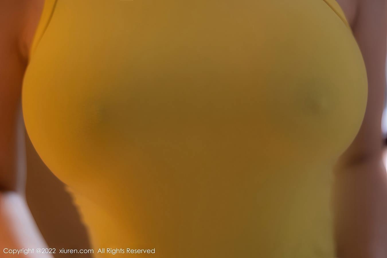 图片[19]-[Xiuren秀人网]2022.11.11 NO.5843 顾乔楠Cora[26+1P] – 速更版-美库