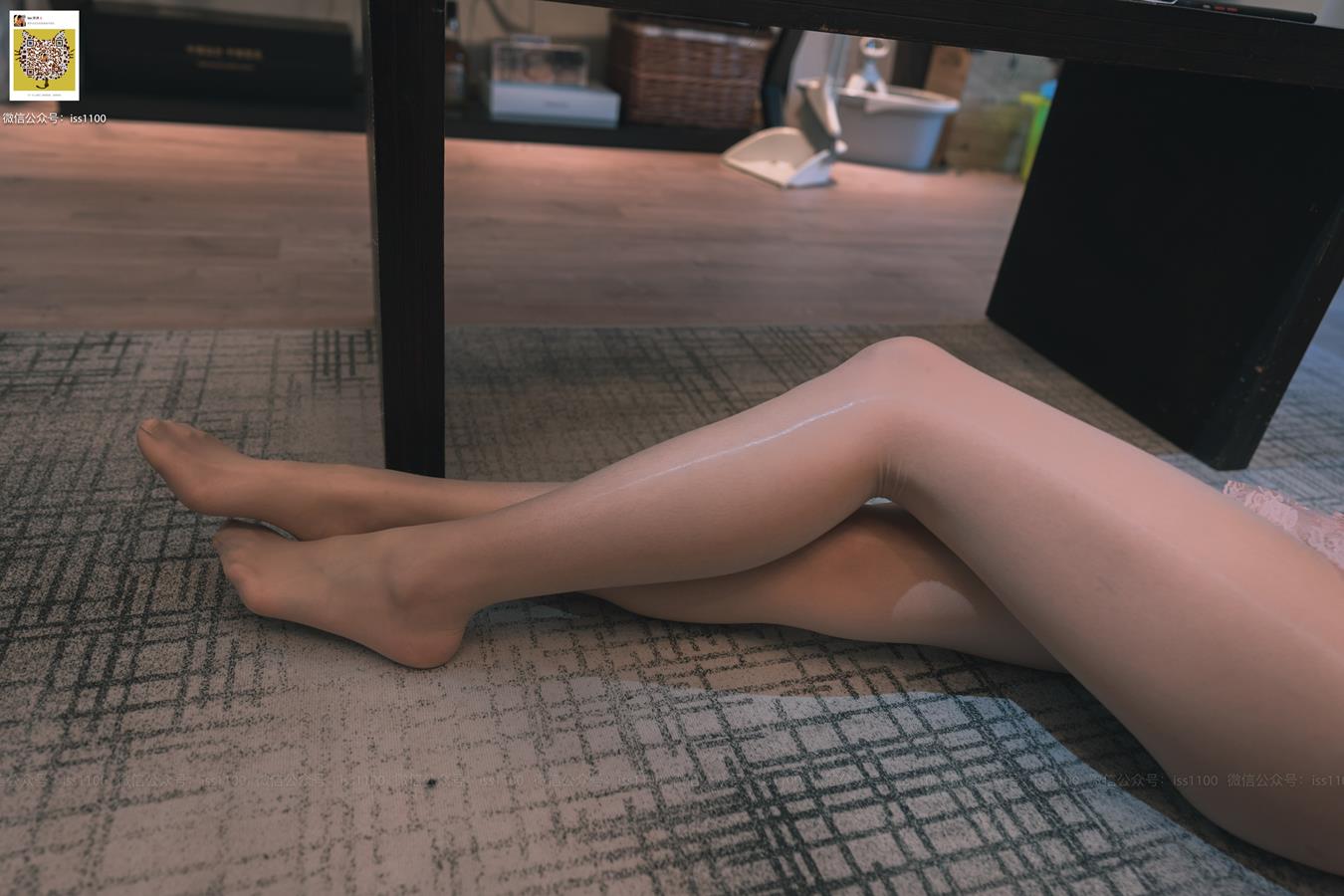 图片[19]-ISS系列 013 萝莉婷 情趣 [27P] – 速更版-美库