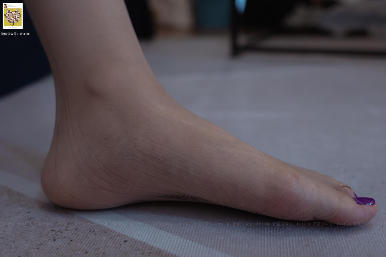 图片[66]-ISS系列 018 酥酥 吊带撕袜 [78P] – 速更版-美库