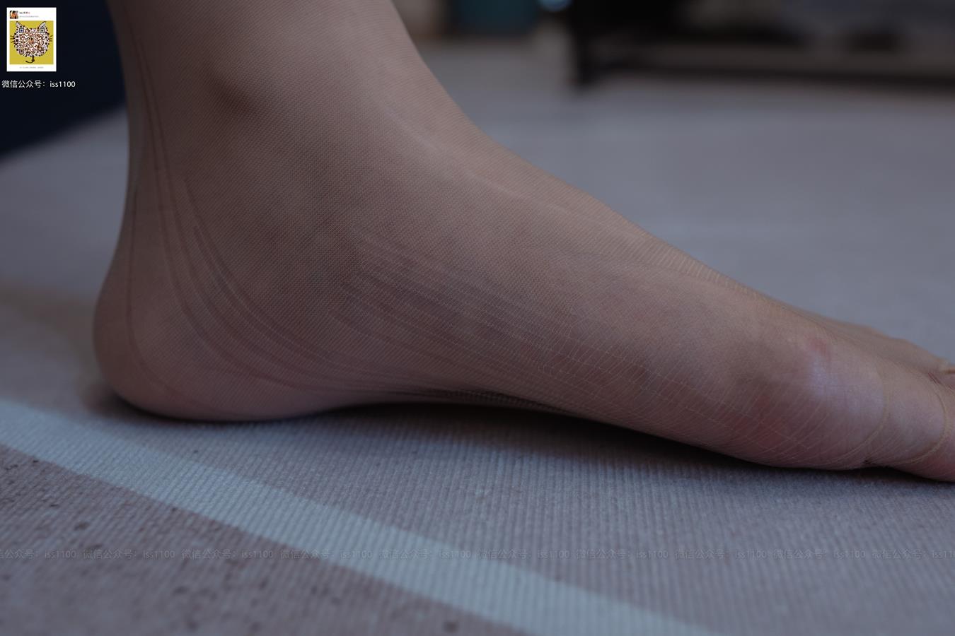 图片[68]-ISS系列 018 酥酥 吊带撕袜 [78P] – 速更版-美库