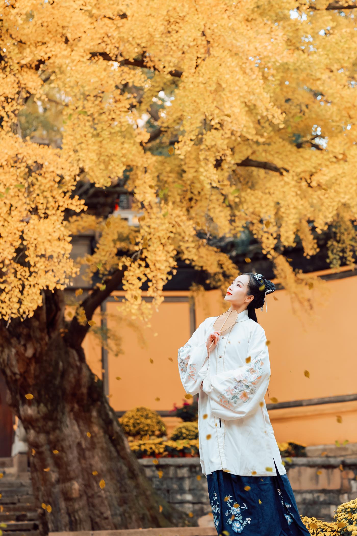 图片[27]-[YITUYU艺图语] 2022.01.22 枫林晚 鹿呦 [25P] – 速更版-美库