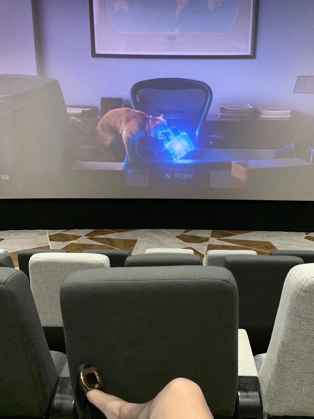 图片[24]-丝足博主 小小小仙女ELaine 微信朋友圈视图系列 (4)[112P] – 速更版-美库