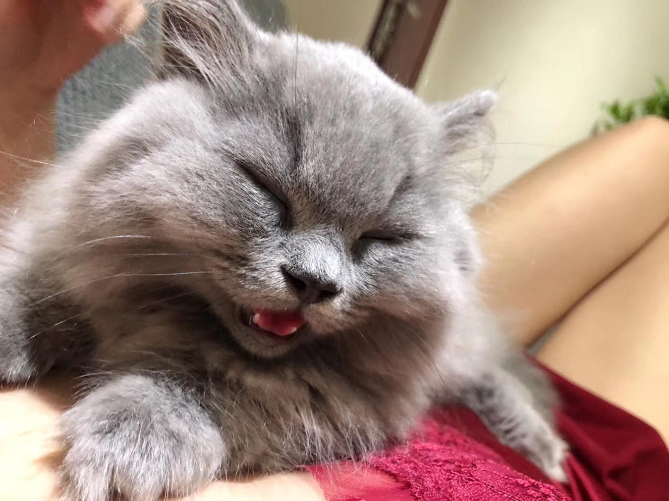 图片[92]-丝足博主 小小小仙女ELaine 微信朋友圈视图系列 (2)[124P] – 速更版-美库