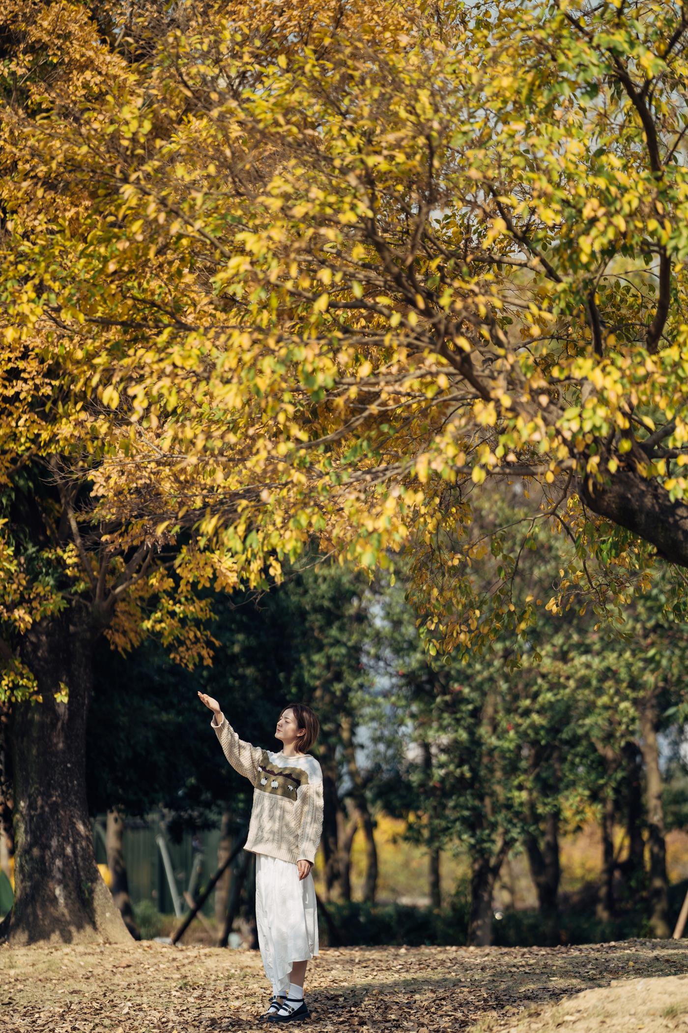 图片[24]-[YITUYU艺图语] 2022.01.25 暖冬银杏，18岁的素颜女孩 dudu [35P] – 速更版-美库