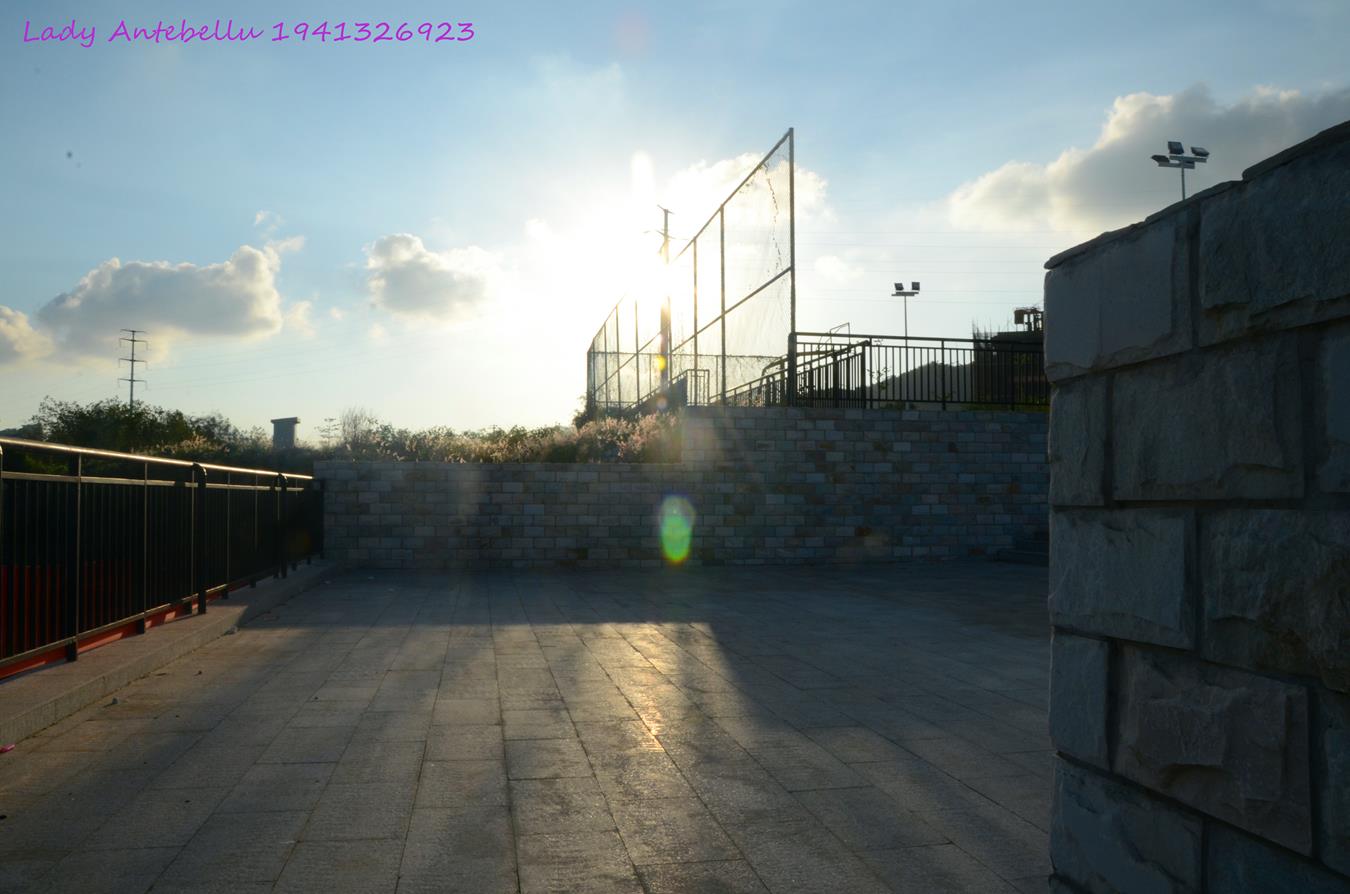 图片[11]-[战前女神] 美腿美足精品摄影套图 026 (3) [96P] – 速更版-美库