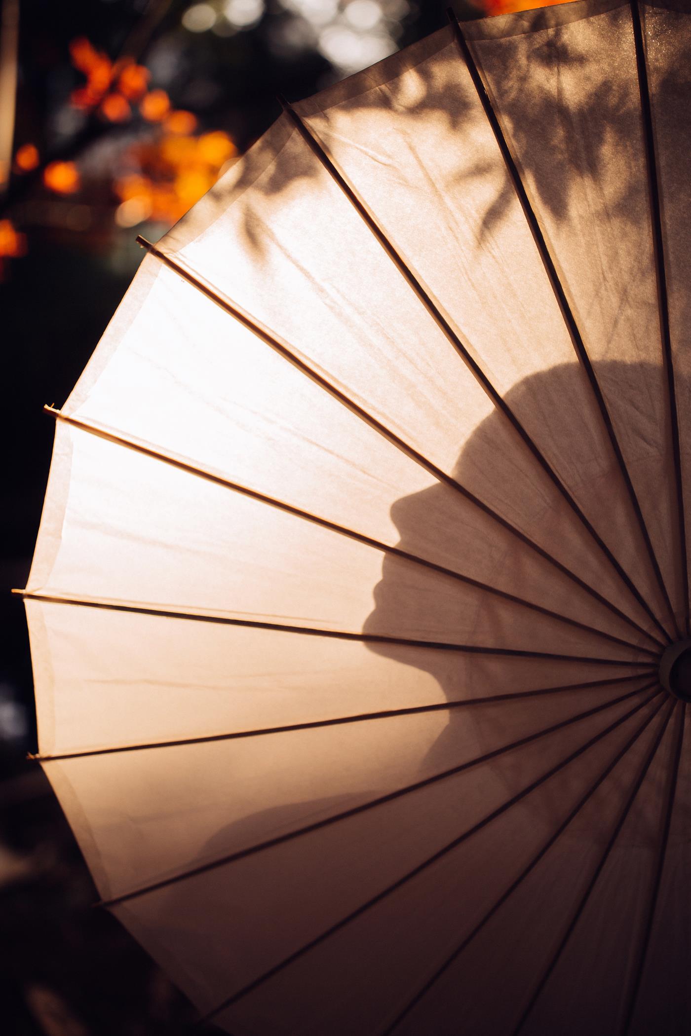 图片[14]-[YITUYU艺图语] 2022.02.07 枫 君洳 [47P] – 速更版-美库