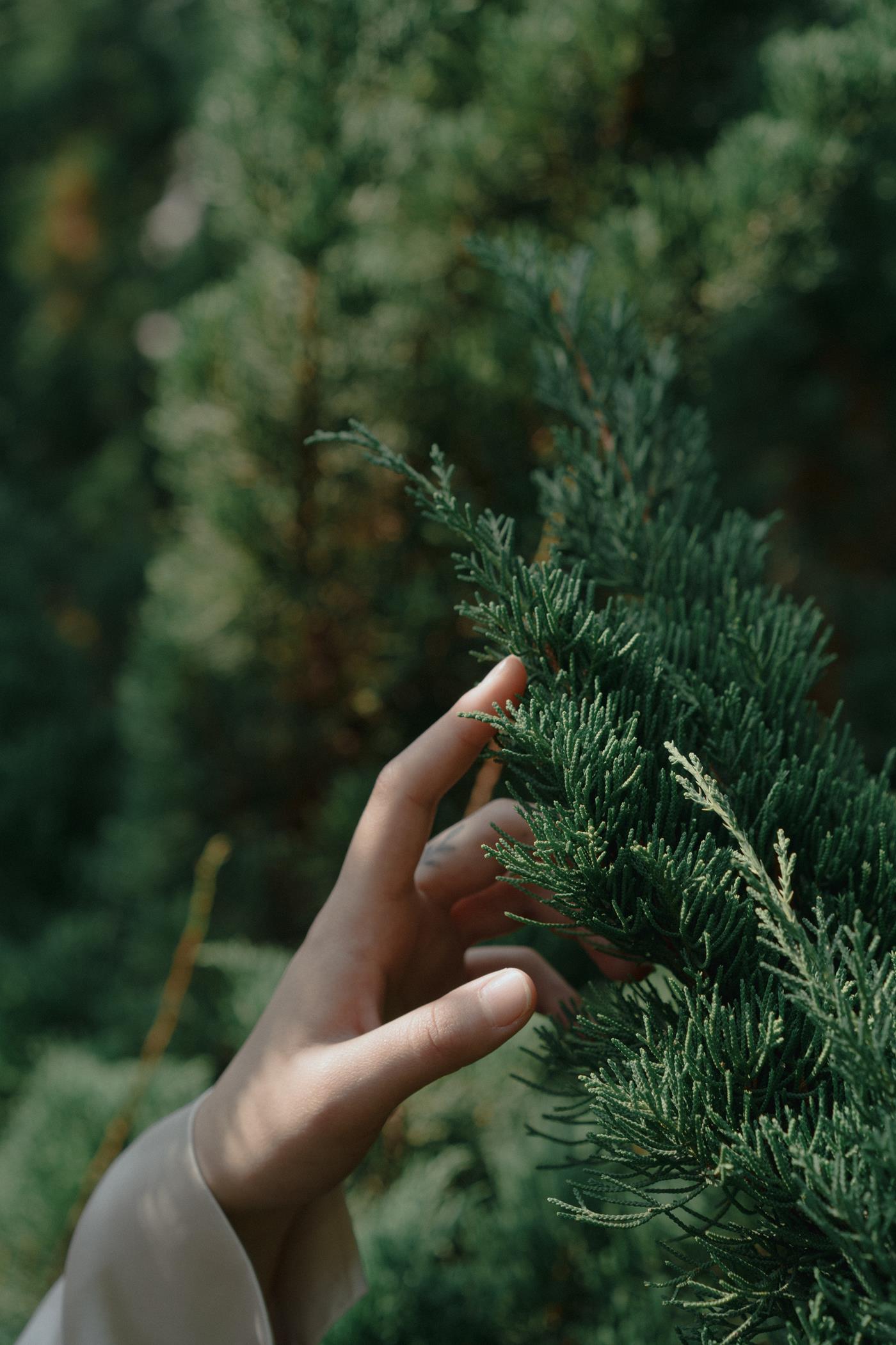 图片[27]-[YITUYU艺图语] 2022.02.08 梦蝶 聪聪 [29P] – 速更版-美库