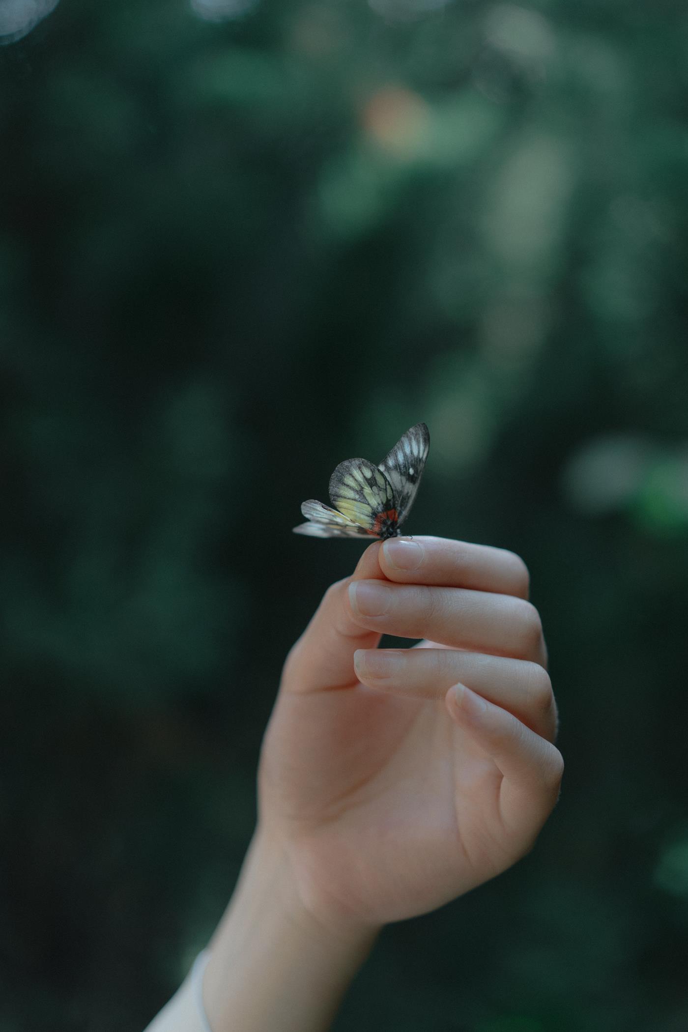 图片[31]-[YITUYU艺图语] 2022.02.08 梦蝶 聪聪 [29P] – 速更版-美库