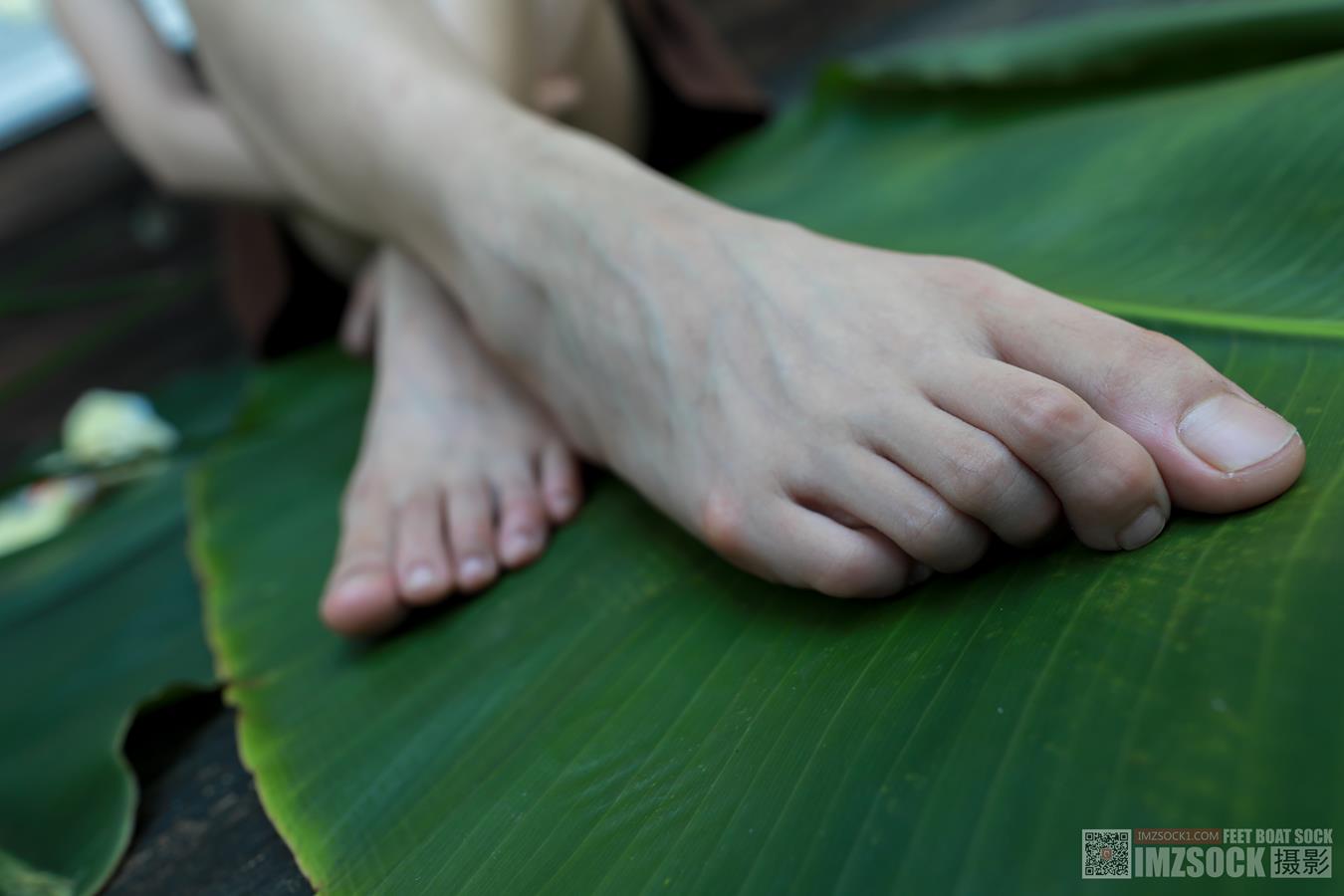 图片[48]-[MZSOCK]爱美足 NO.119 可可[76P] – 速更版-美库