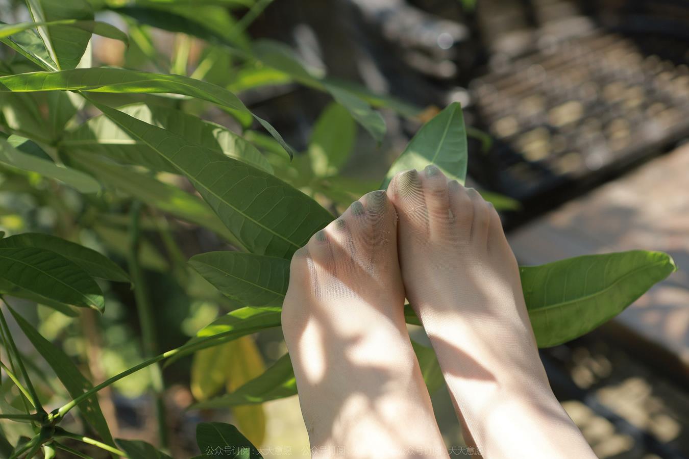 图片[25]-[IESS异思趣向] 耽丝  220928美子 [73P] – 速更版-美库