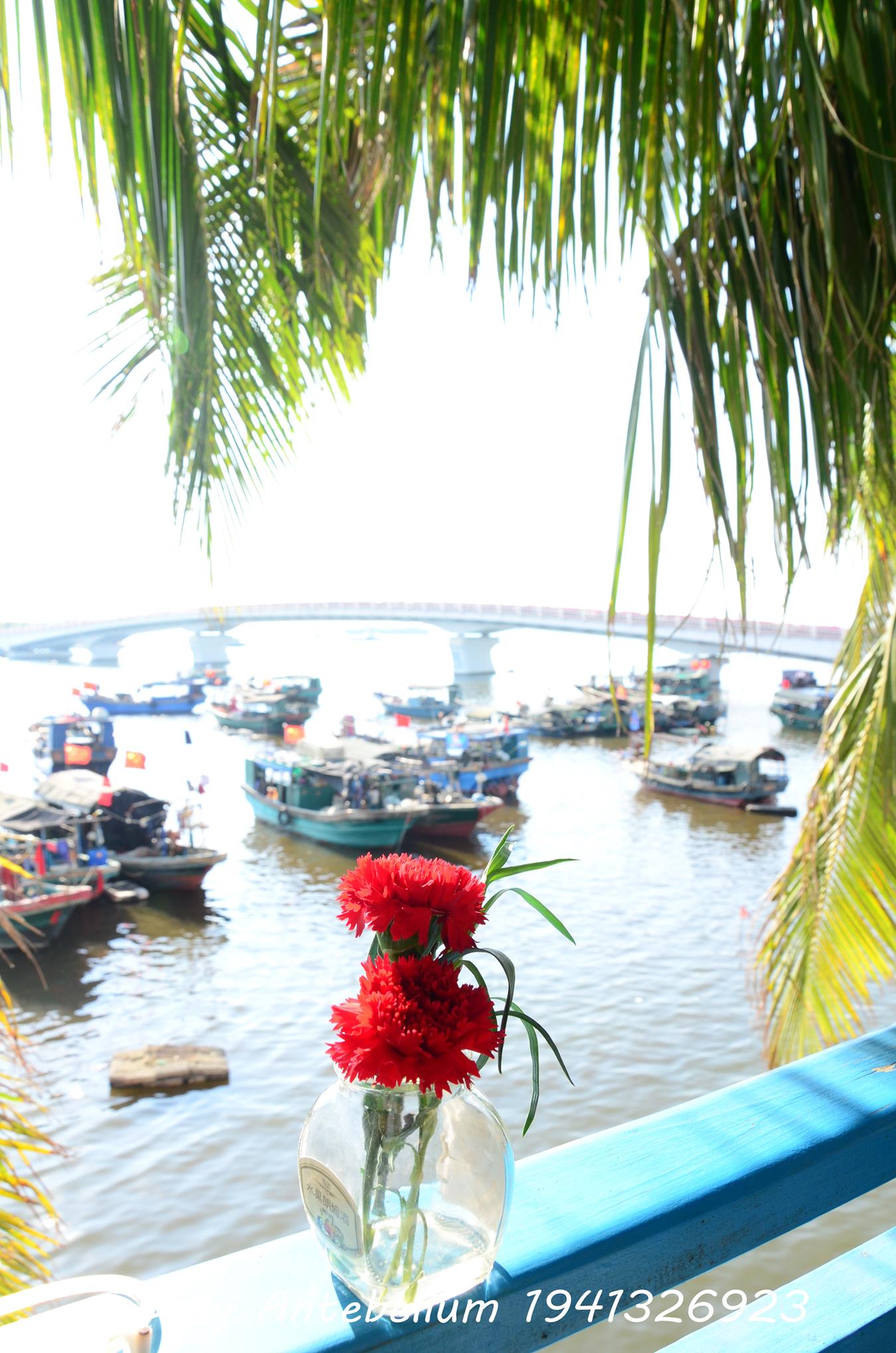 图片[39]-[战前女神] 美腿美足精品摄影套图 082 [172P] – 速更版-美库