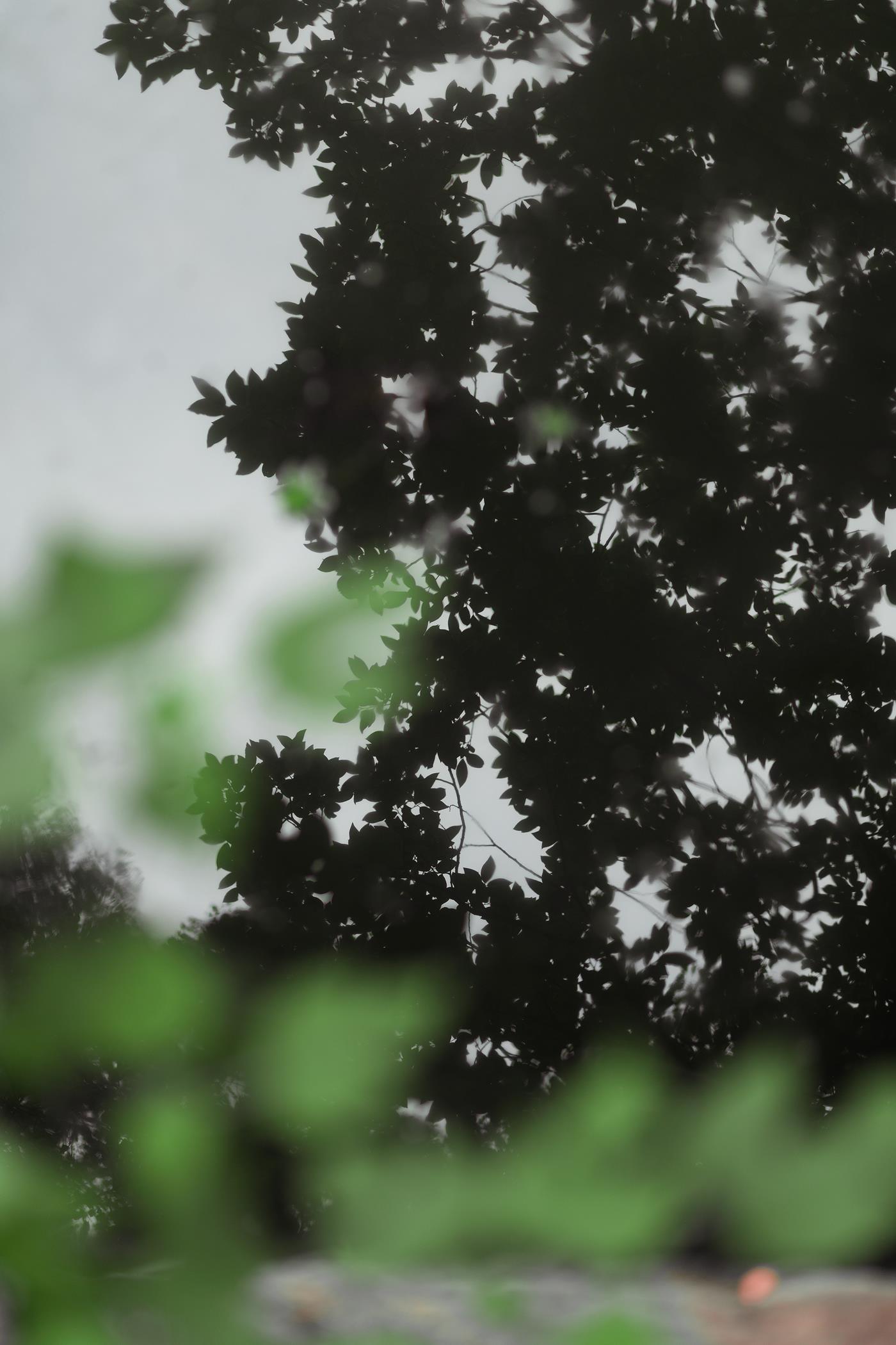 图片[18]-[YITUYU艺图语] 2022.02.24 浮生万千 水月镜花 秋山AkI [23P] – 速更版-美库