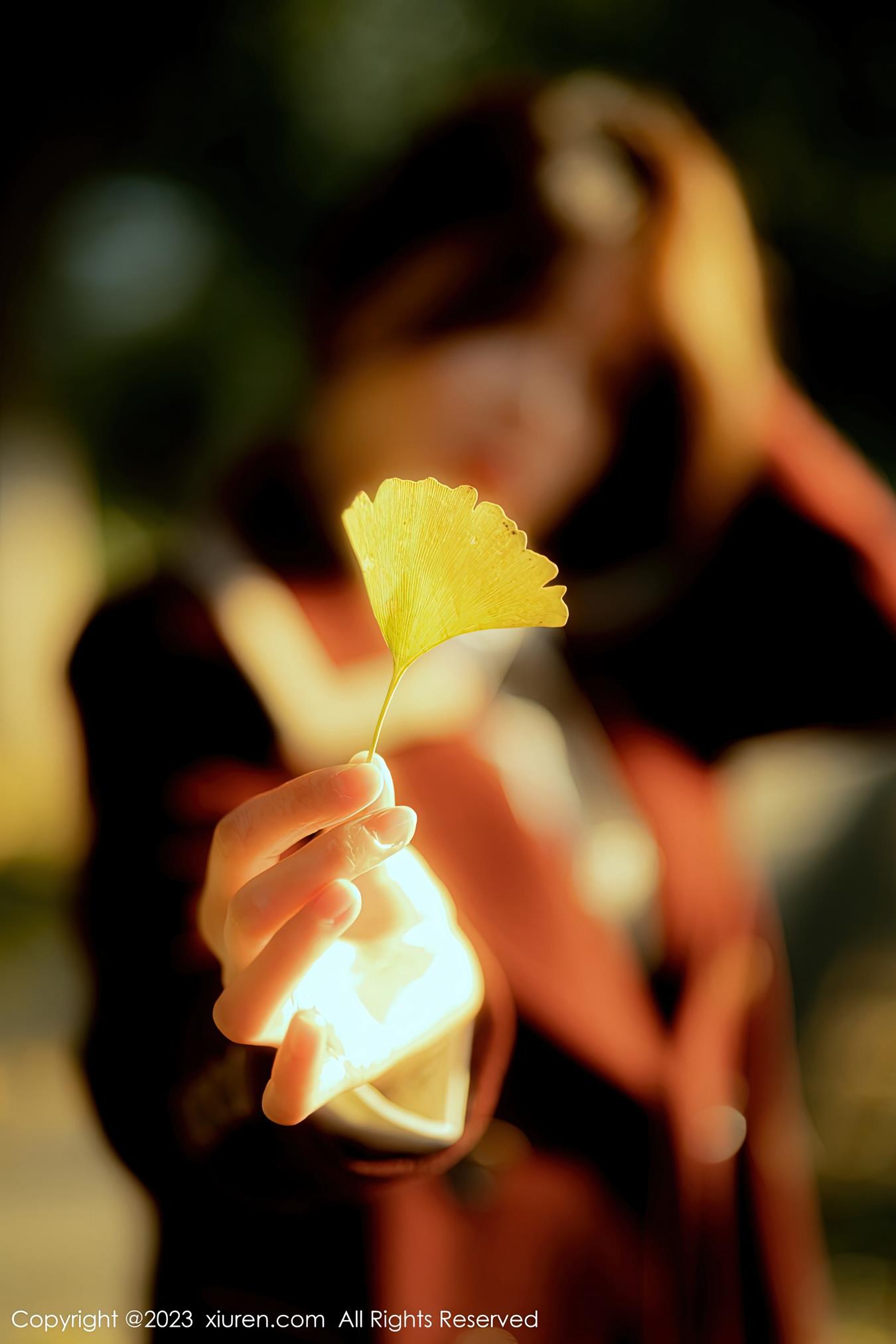 图片[29]-[Xiuren秀人网]2023.01.16 NO.6137 婠婠么[48+1P] – 速更版-美库