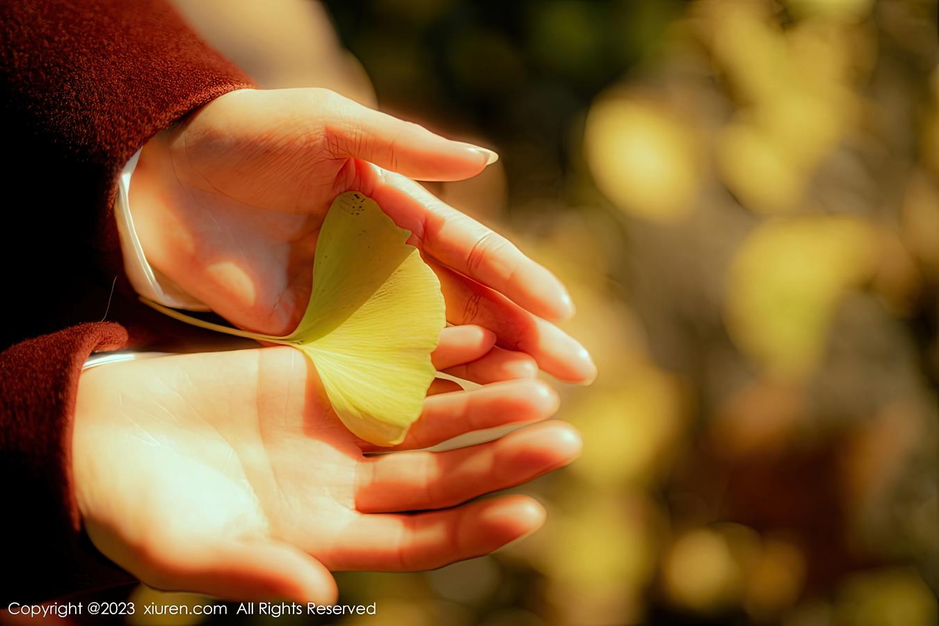 图片[33]-[Xiuren秀人网]2023.01.16 NO.6137 婠婠么[48+1P] – 速更版-美库