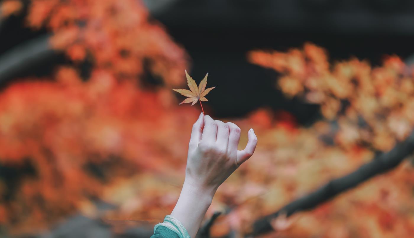 图片[11]-[YITUYU艺图语] 2022.03.01 清平误 鹿呦 [28P] – 速更版-美库