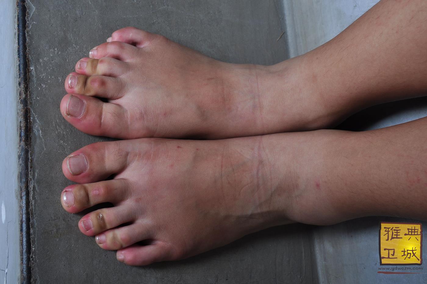 图片[38]-雅典卫城  黄白格半袖 2010-064 [96P] – 速更版-美库