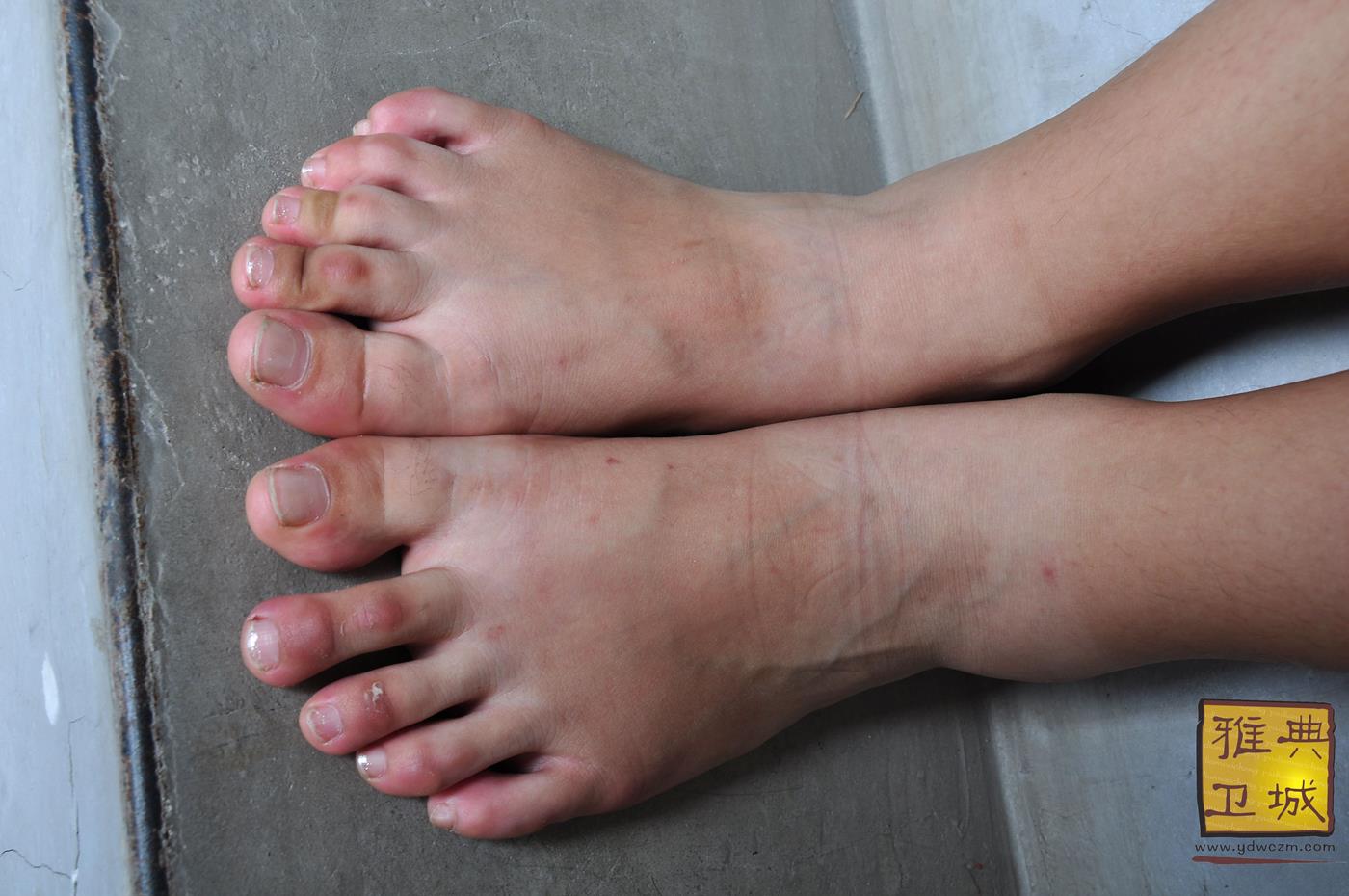 图片[39]-雅典卫城  黄白格半袖 2010-064 [96P] – 速更版-美库