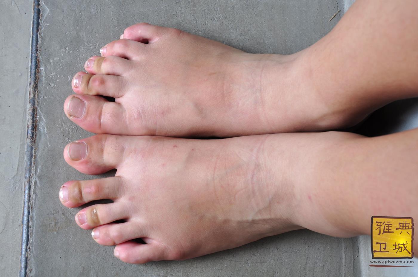 图片[40]-雅典卫城  黄白格半袖 2010-064 [96P] – 速更版-美库