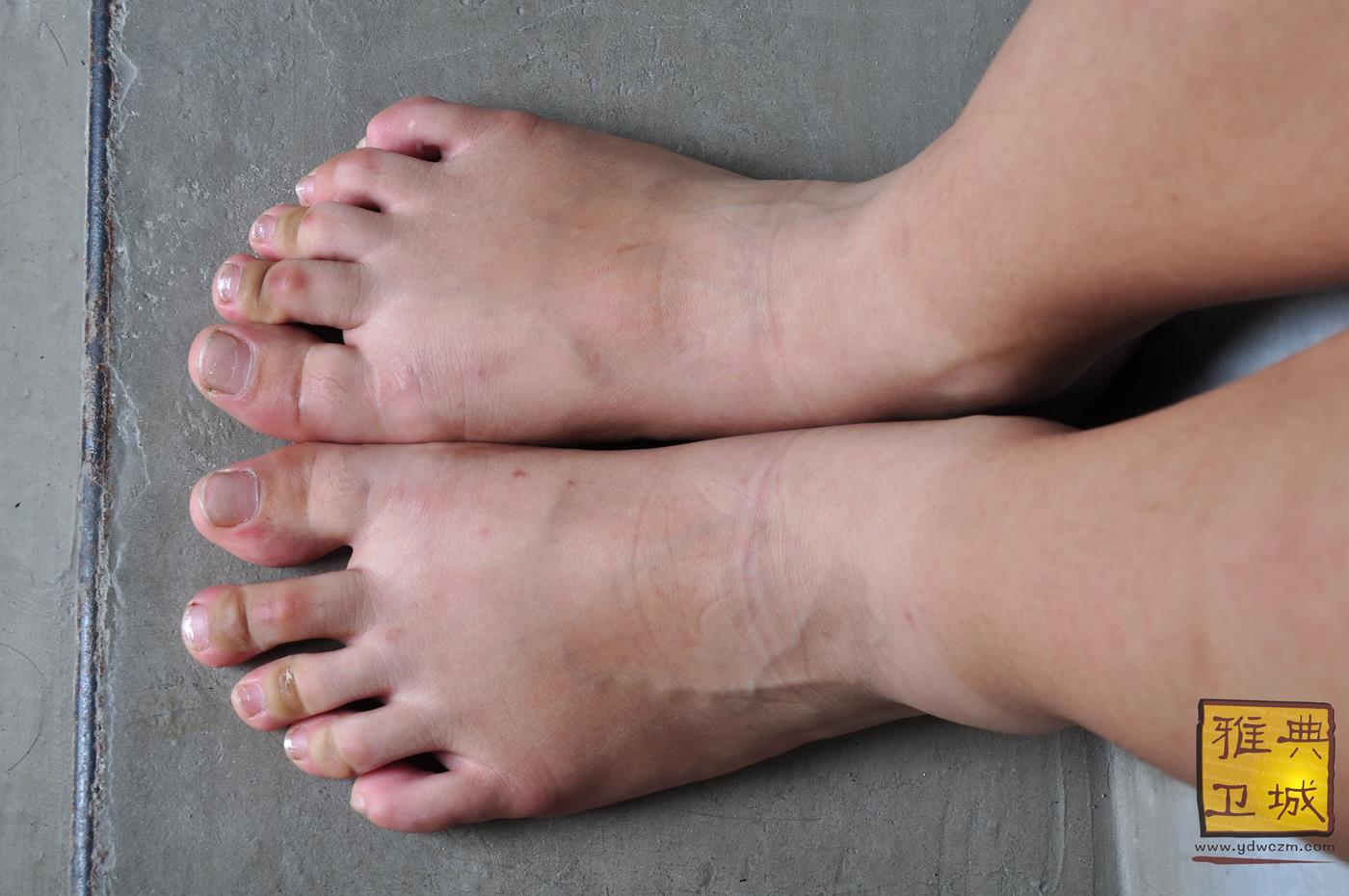 图片[41]-雅典卫城  黄白格半袖 2010-064 [96P] – 速更版-美库