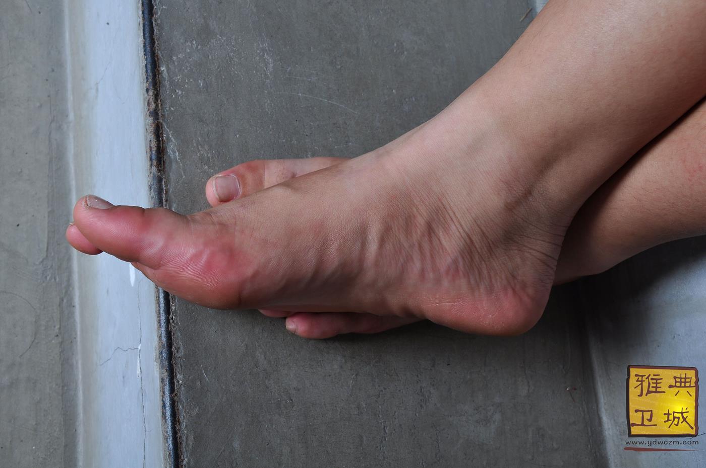 图片[42]-雅典卫城  黄白格半袖 2010-064 [96P] – 速更版-美库