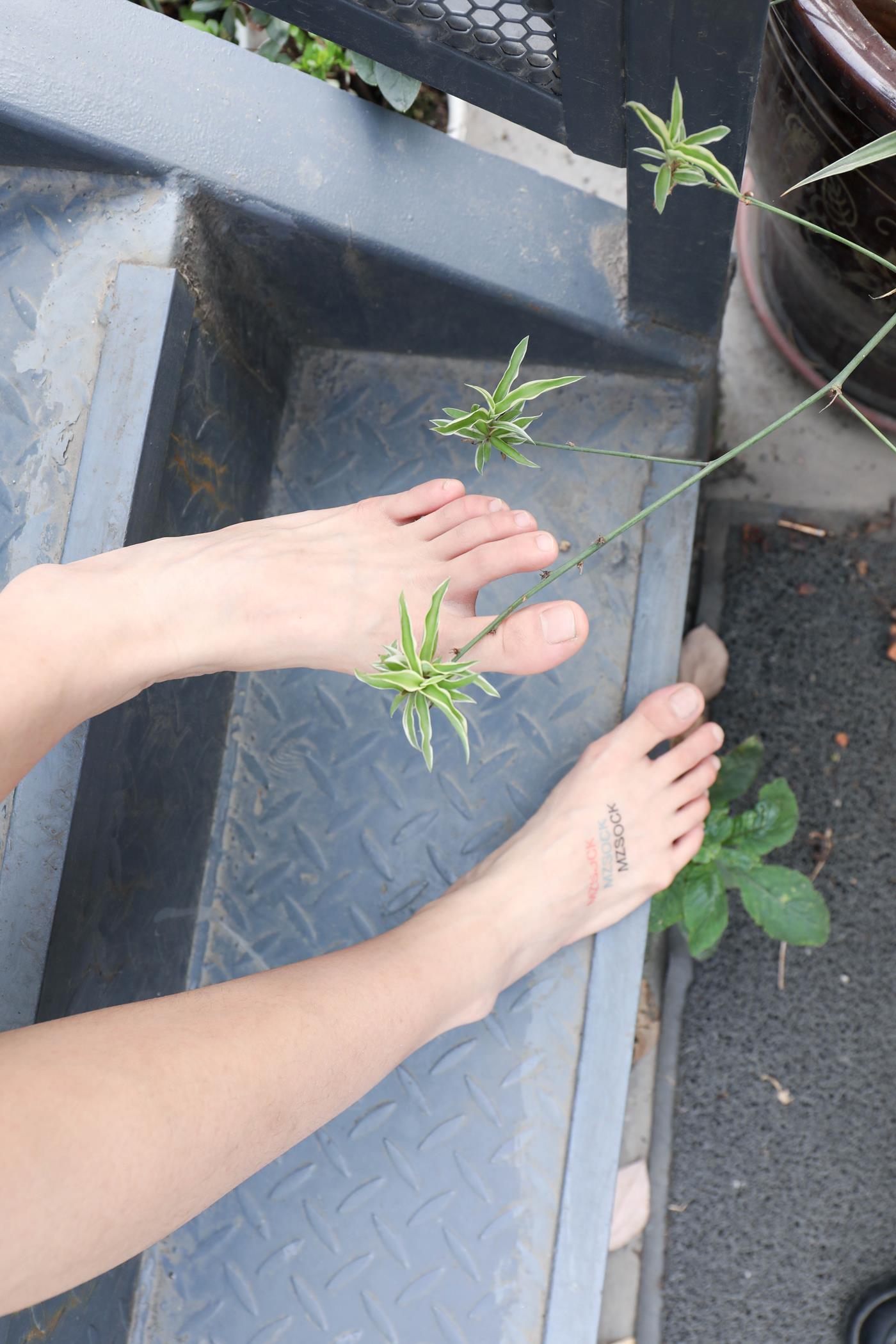 图片[63]-[MZSOCK]爱美足 NO.145 可可[111P] – 速更版-美库