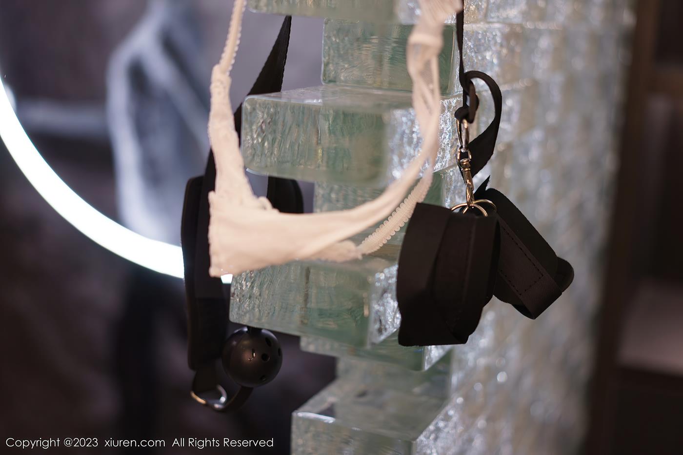 图片[22]-[Xiuren秀人网]2023.02.02 NO.6206 icy猪[22+1P] – 速更版-美库