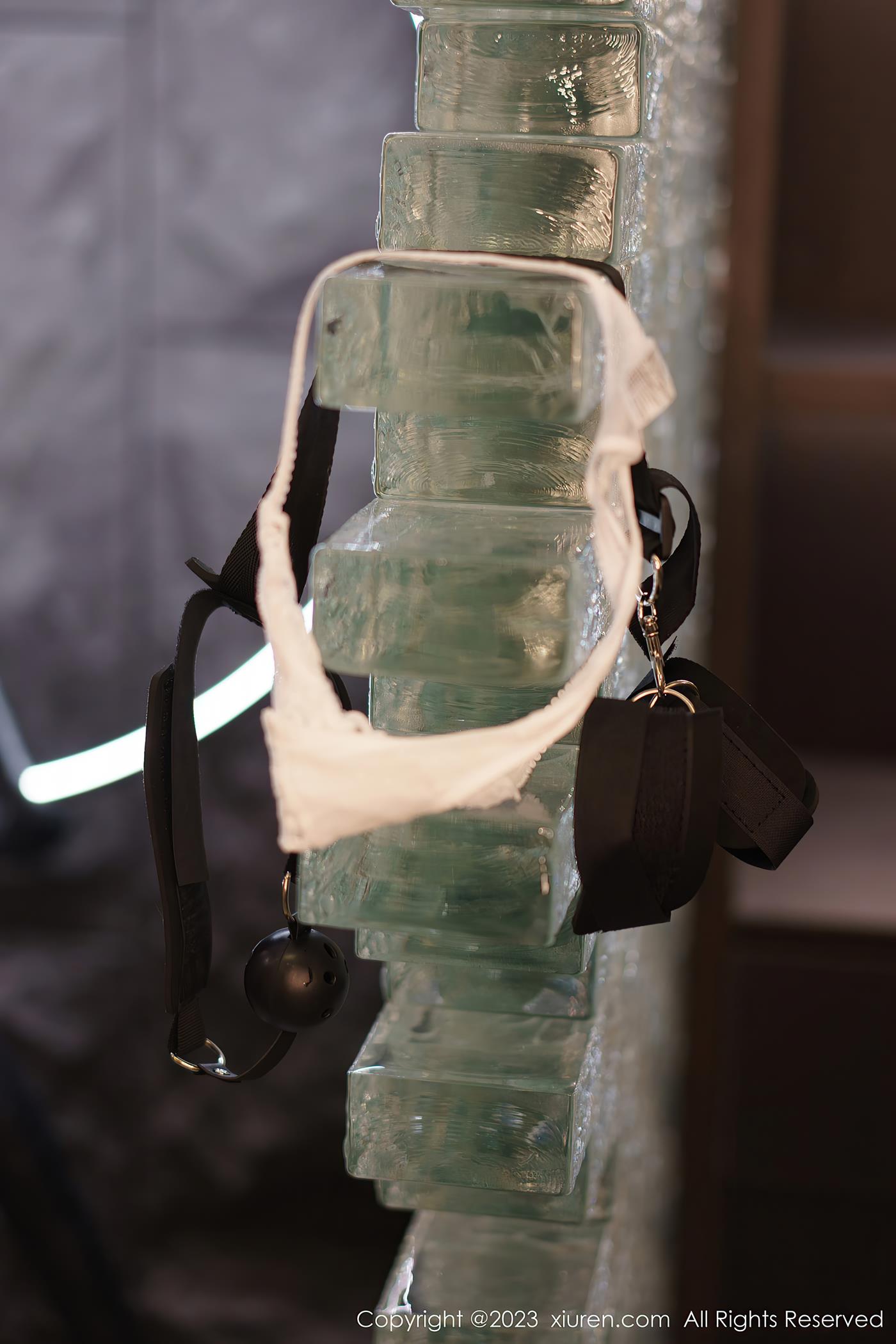 图片[11]-[Xiuren秀人网]2023.02.02 NO.6206 icy猪[22+1P] – 速更版-美库