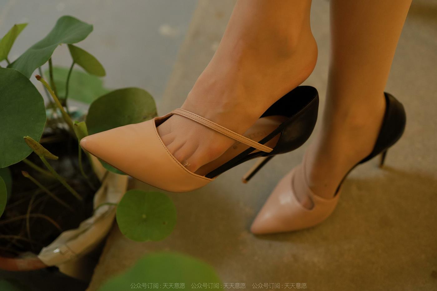 图片[33]-[IESS异思趣向] 2022.08.14 丝享家1177：幂幂《红鸾心动》[88P] – 速更版-美库