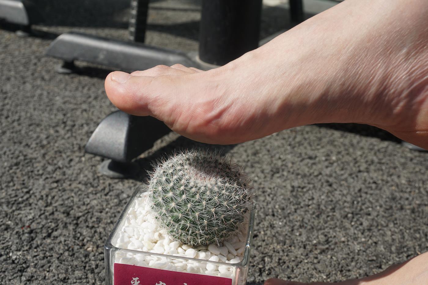 图片[51]-[Pary学生模拍] No.036 莹莹赤脚游玩创意产业园 [145P] – 速更版-美库