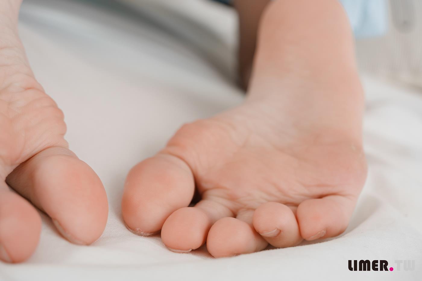 图片[73]-Limerence原创 NO.055 之之 女仆装扮柔嫩欧派与裸足 请主人享用[170P] – 速更版-美库