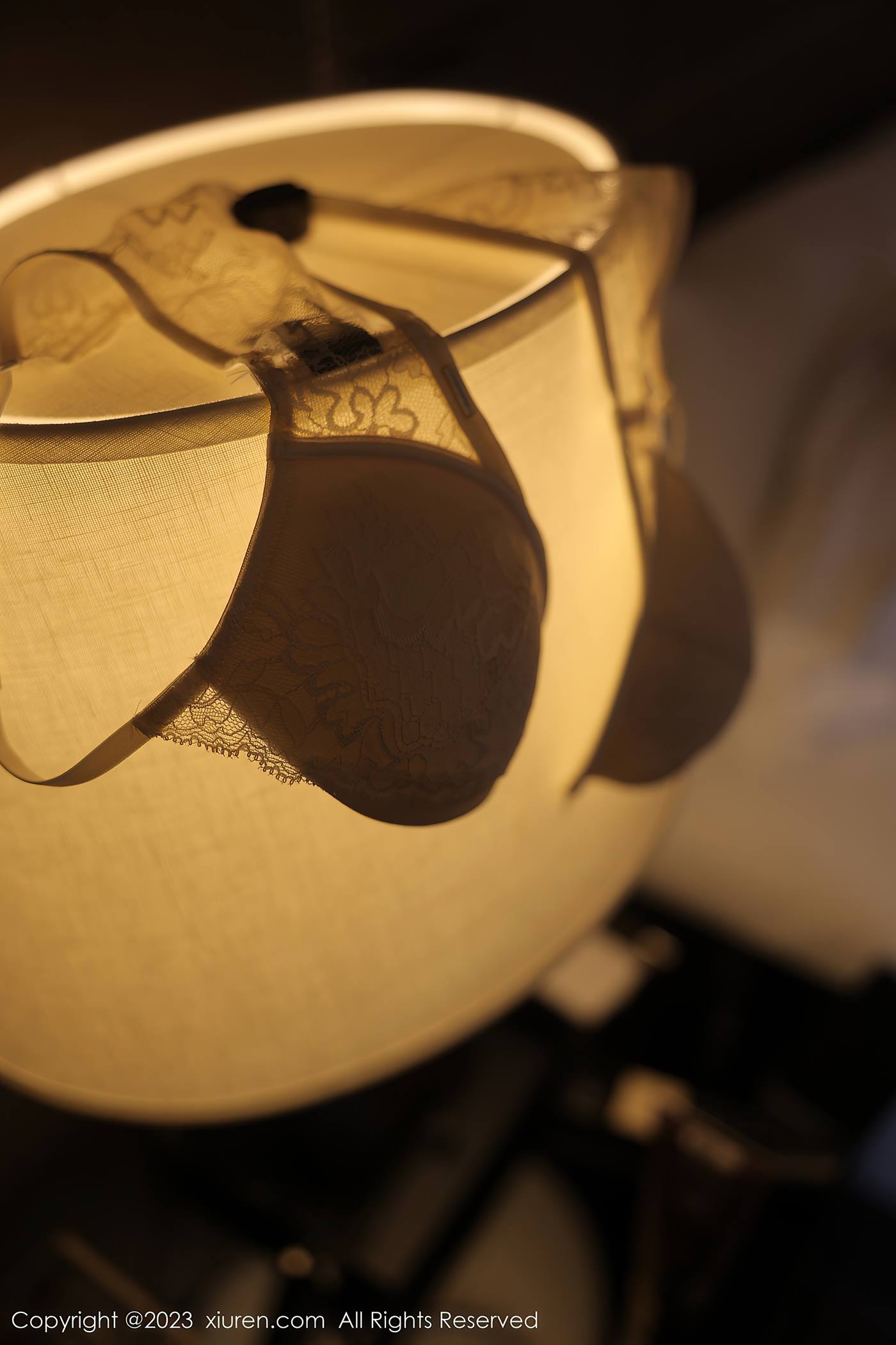 图片[62]-[Xiuren秀人网]2023.02.20 NO.6290 yoo优优[66+1P] – 速更版-美库