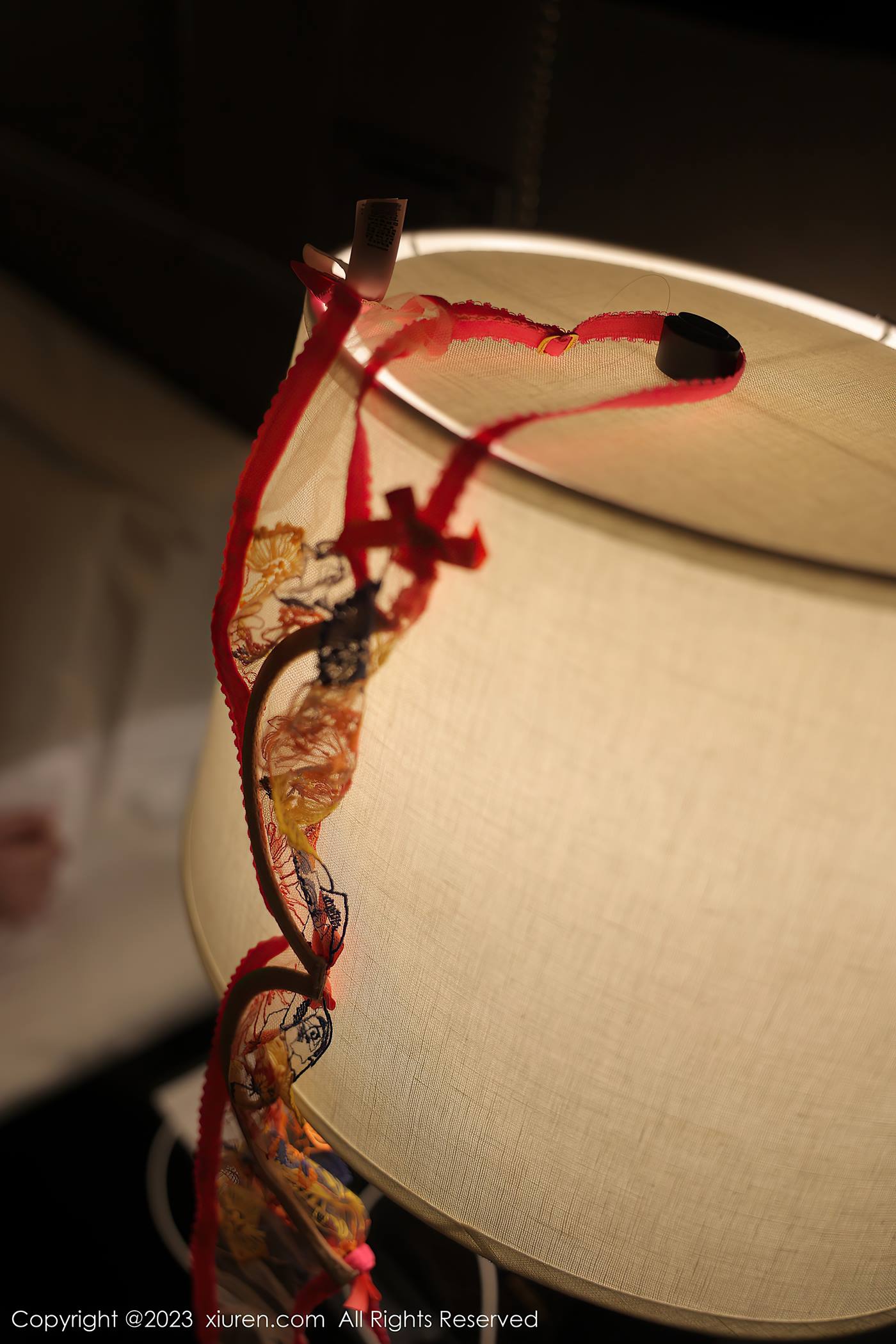 图片[12]-[Xiuren秀人网]2023.02.24 NO.6317 林珊珊[43+1P] – 速更版-美库