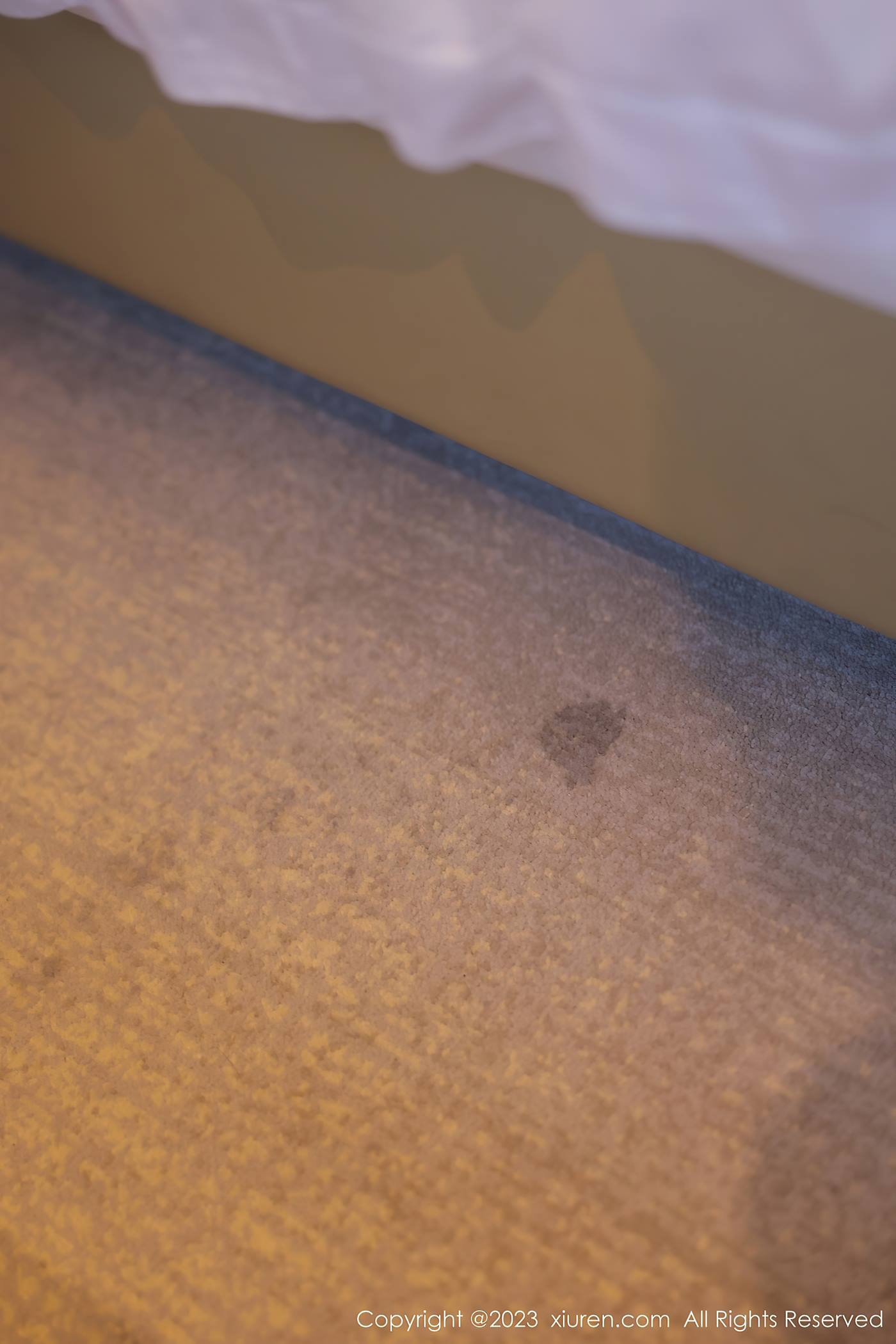 图片[18]-[Xiuren秀人网]2023.02.27 NO.6329 谢小蒽[25+1P] – 速更版-美库