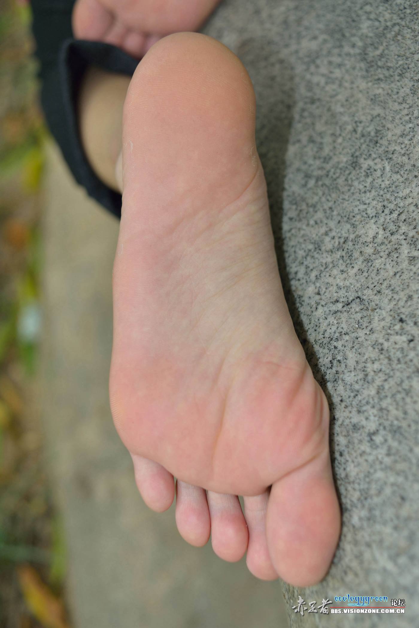 图片[18]-Ecologygreen摄影作品 NO.027 娇嫩修长的玉足[58P] – 速更版-美库
