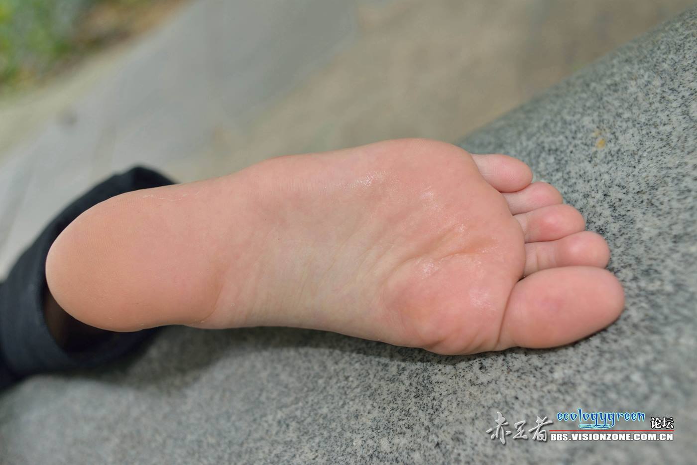 图片[30]-Ecologygreen摄影作品 NO.027 娇嫩修长的玉足[58P] – 速更版-美库