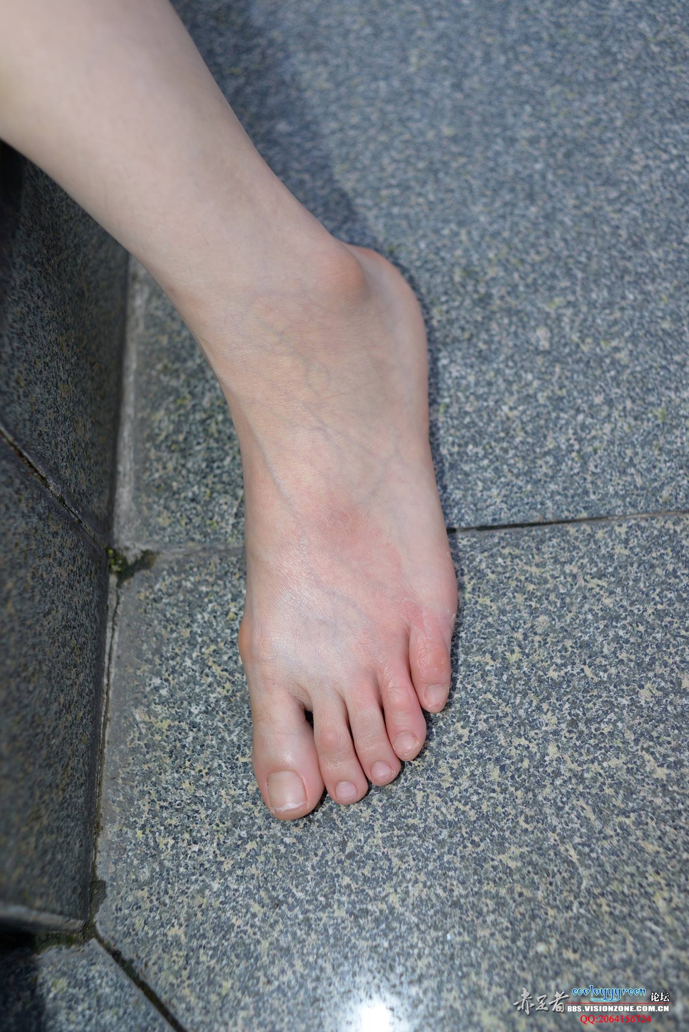 图片[51]-Ecologygreen摄影作品 NO.028 脚型优美的小蓝[75P] – 速更版-美库