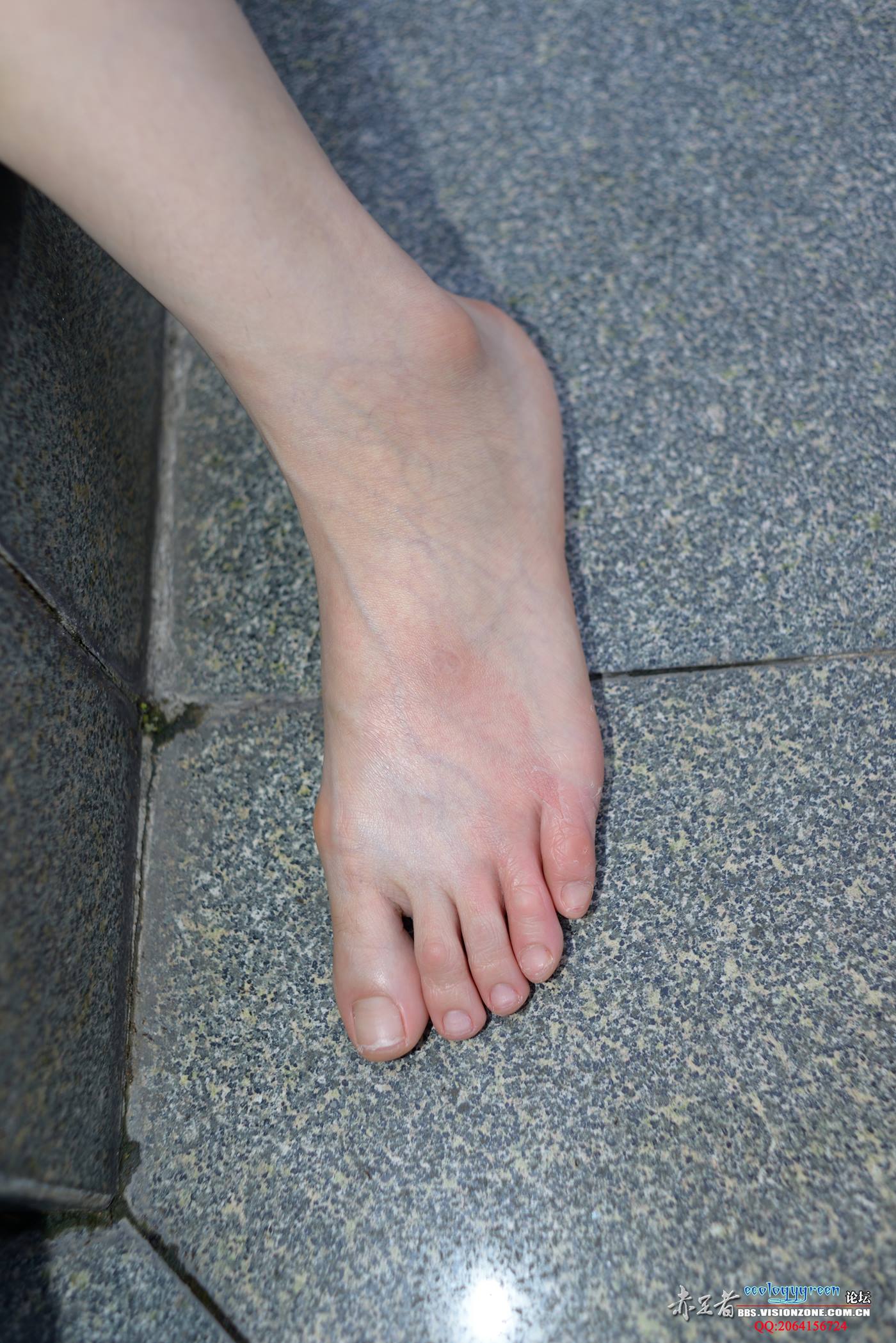 图片[52]-Ecologygreen摄影作品 NO.028 脚型优美的小蓝[75P] – 速更版-美库