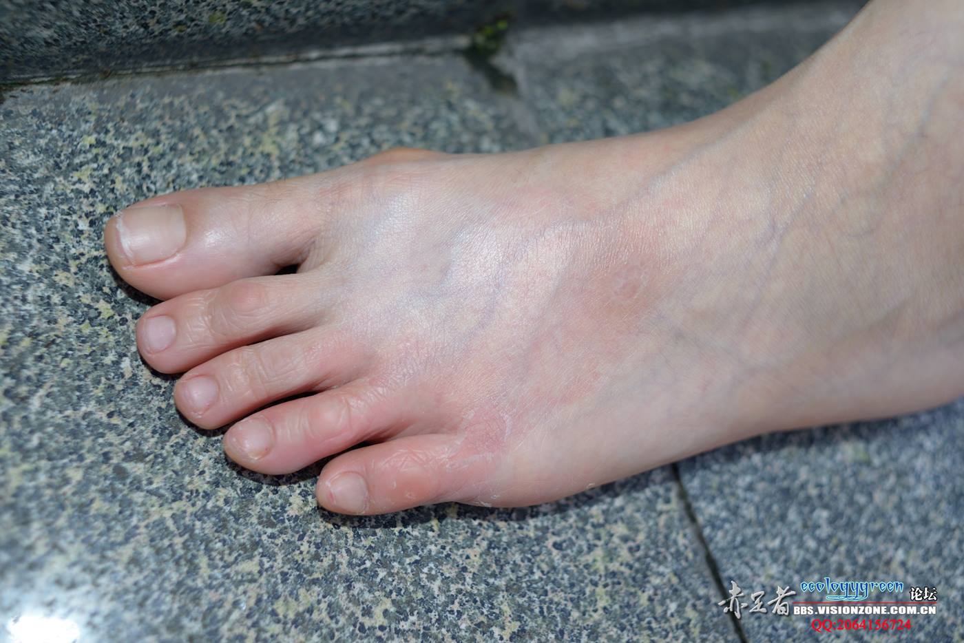 图片[54]-Ecologygreen摄影作品 NO.028 脚型优美的小蓝[75P] – 速更版-美库