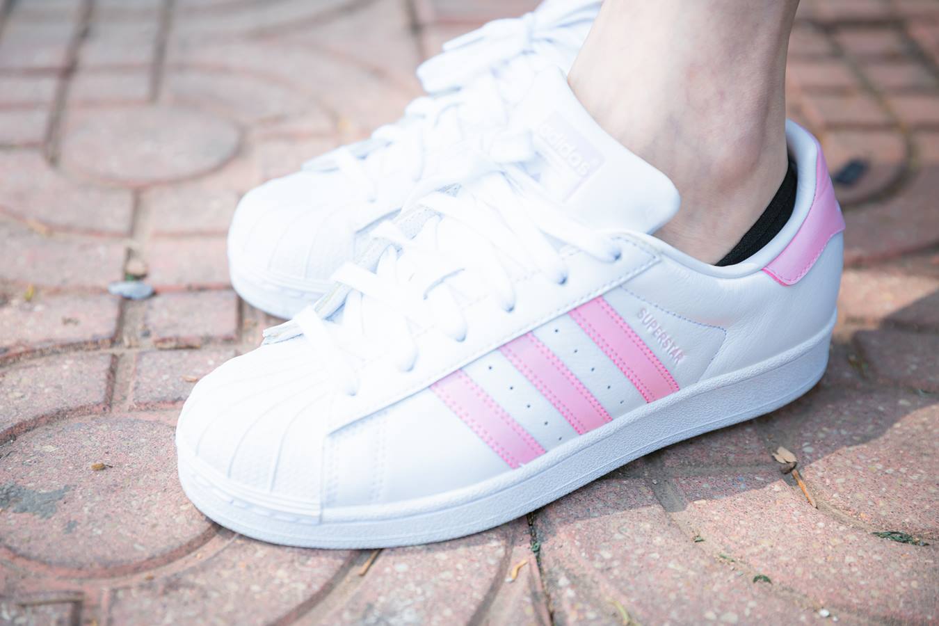 图片[29]-物恋传媒 NO.741 兔兔-风寻[153P] – 速更版-美库