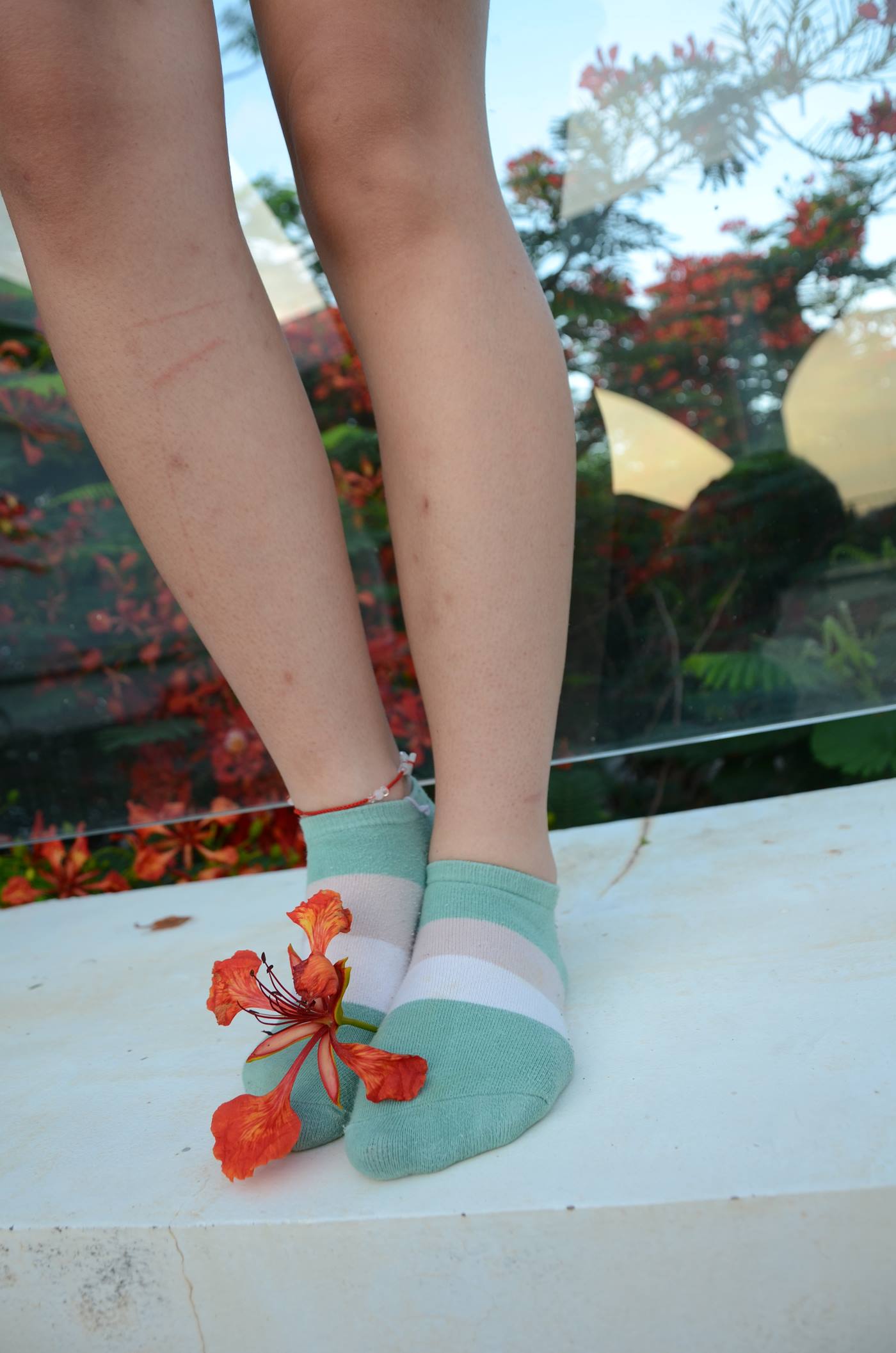 图片[10]-[战前女神] 美腿美足精品摄影套图 126 [114P] – 速更版-美库