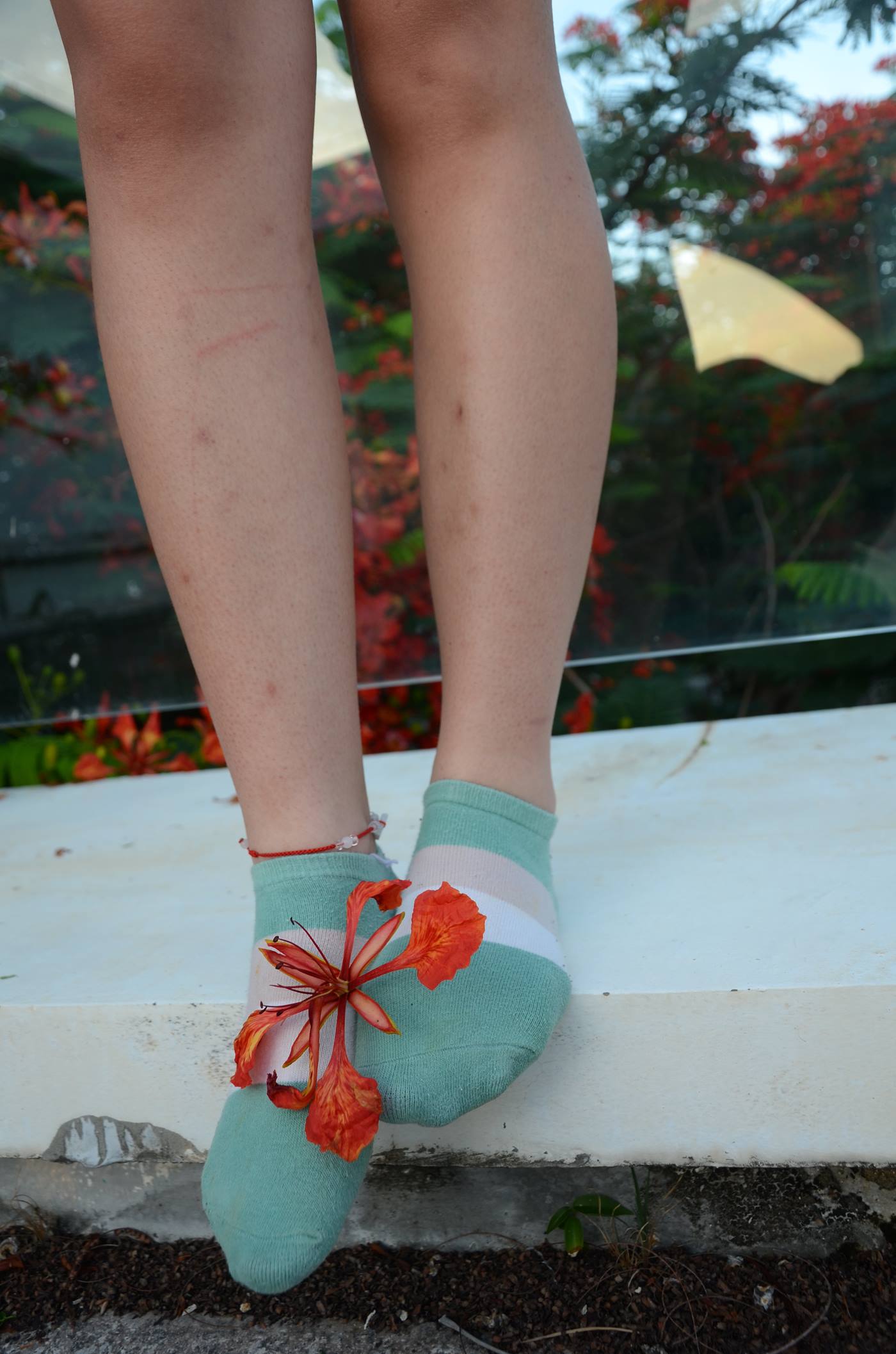 图片[12]-[战前女神] 美腿美足精品摄影套图 126 [114P] – 速更版-美库