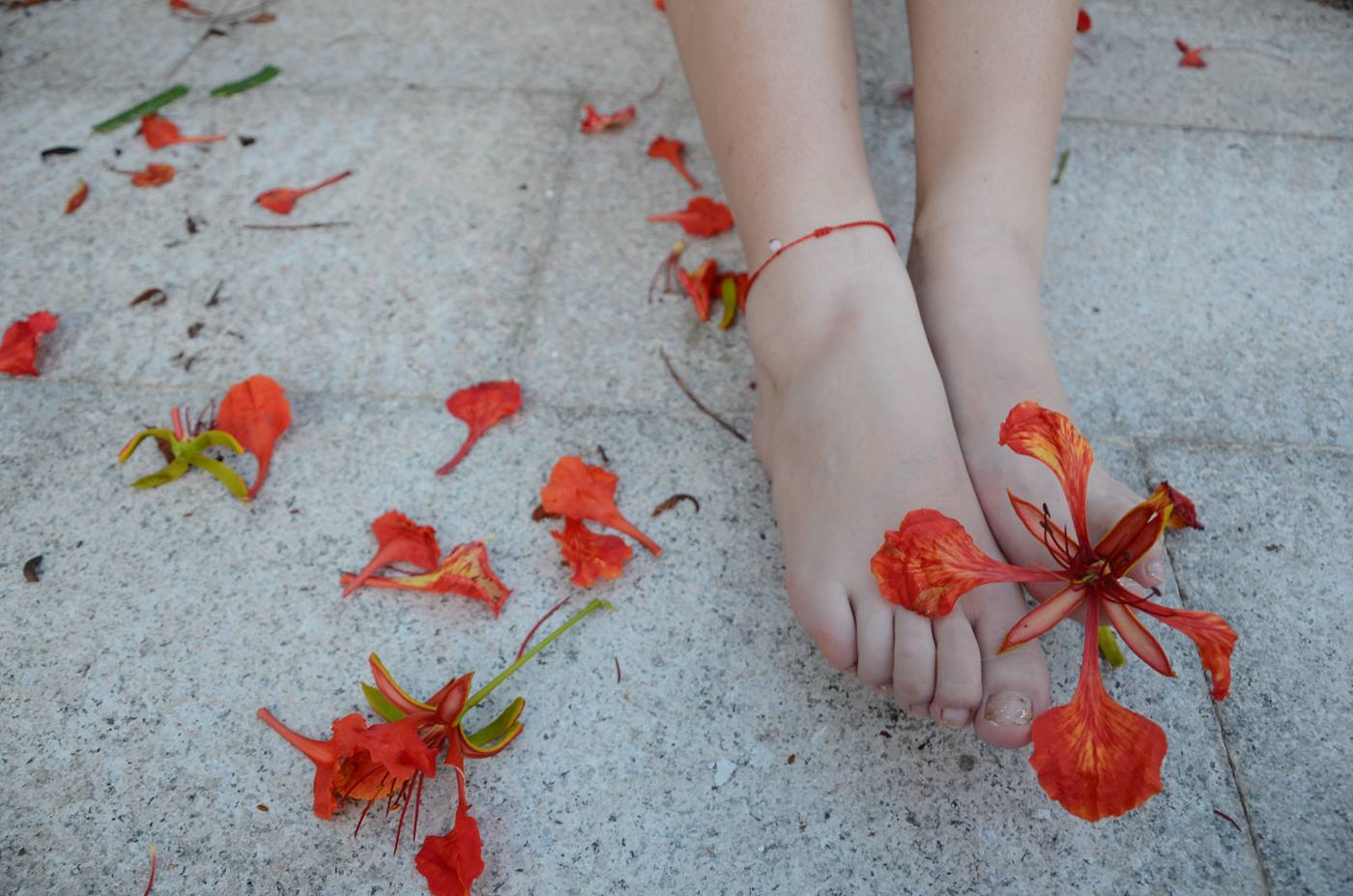 图片[37]-[战前女神] 美腿美足精品摄影套图 126 [114P] – 速更版-美库